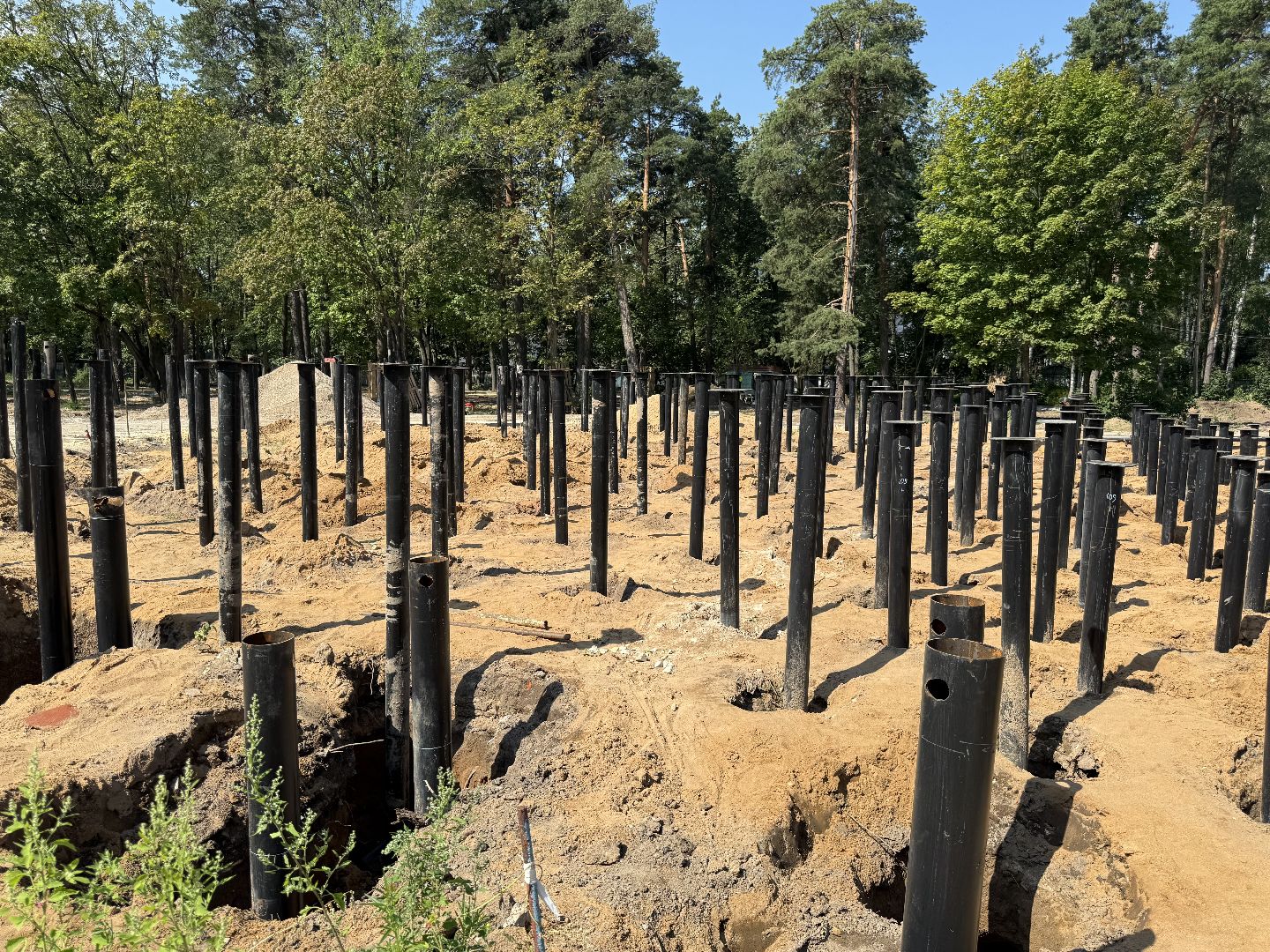 люберцы, малаховка, летний парк в малаховке, Благоустройство , глава администрации,