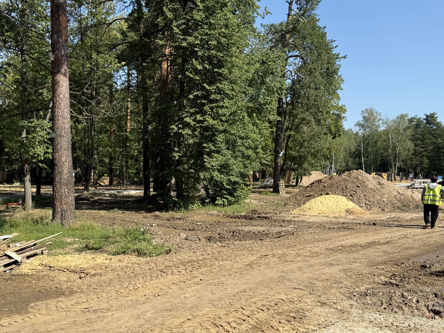люберцы, малаховка, летний парк в малаховке, Благоустройство , глава администрации,