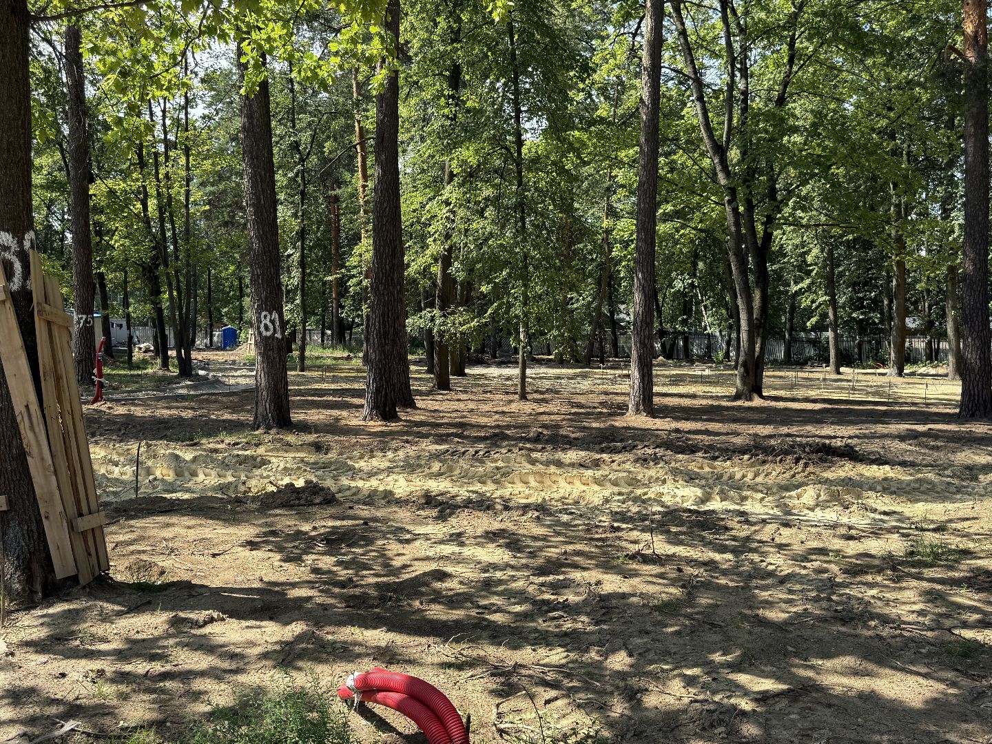 люберцы, малаховка, летний парк в малаховке, Благоустройство , глава администрации,