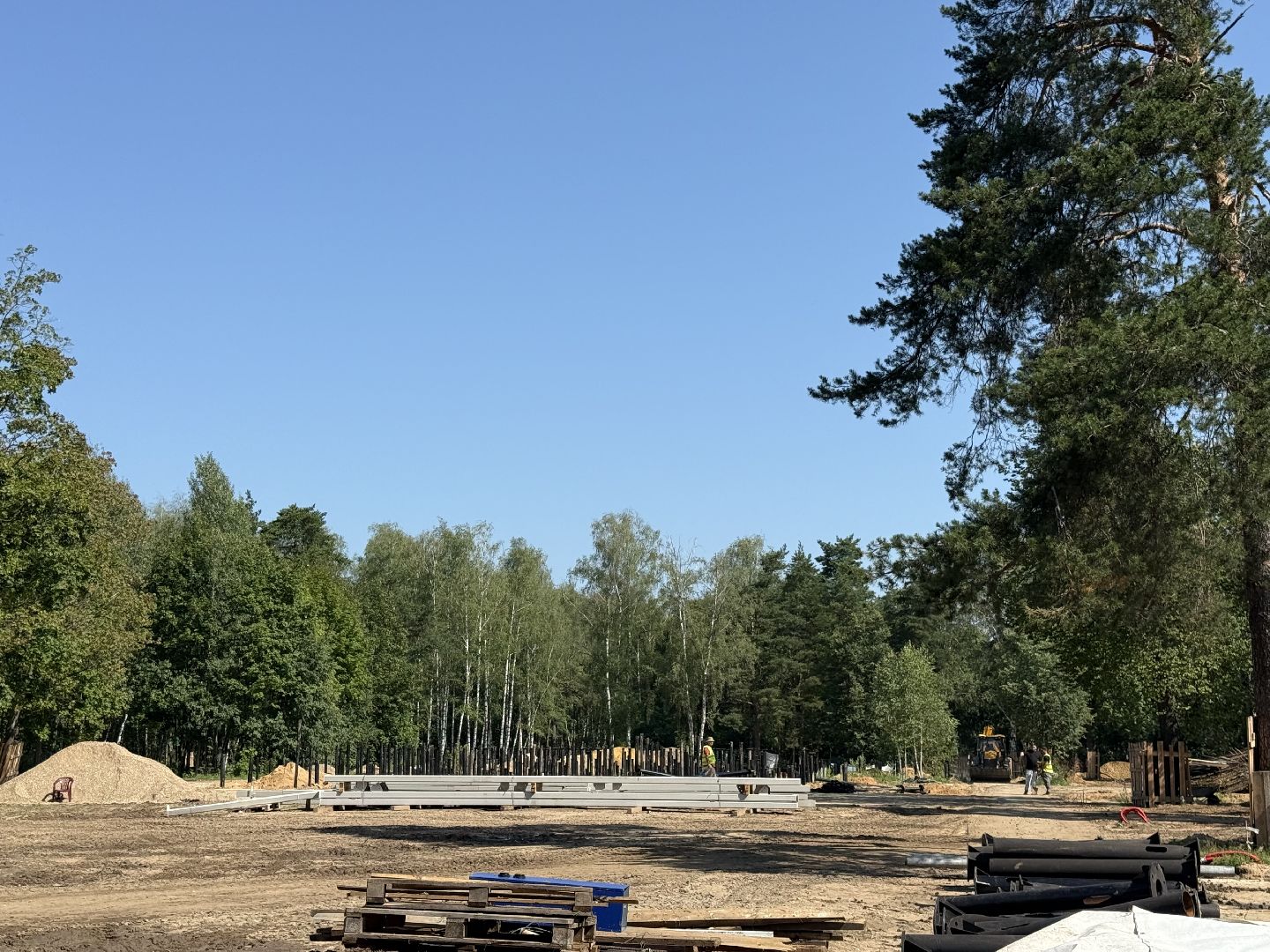 люберцы, малаховка, летний парк в малаховке, Благоустройство , глава администрации,