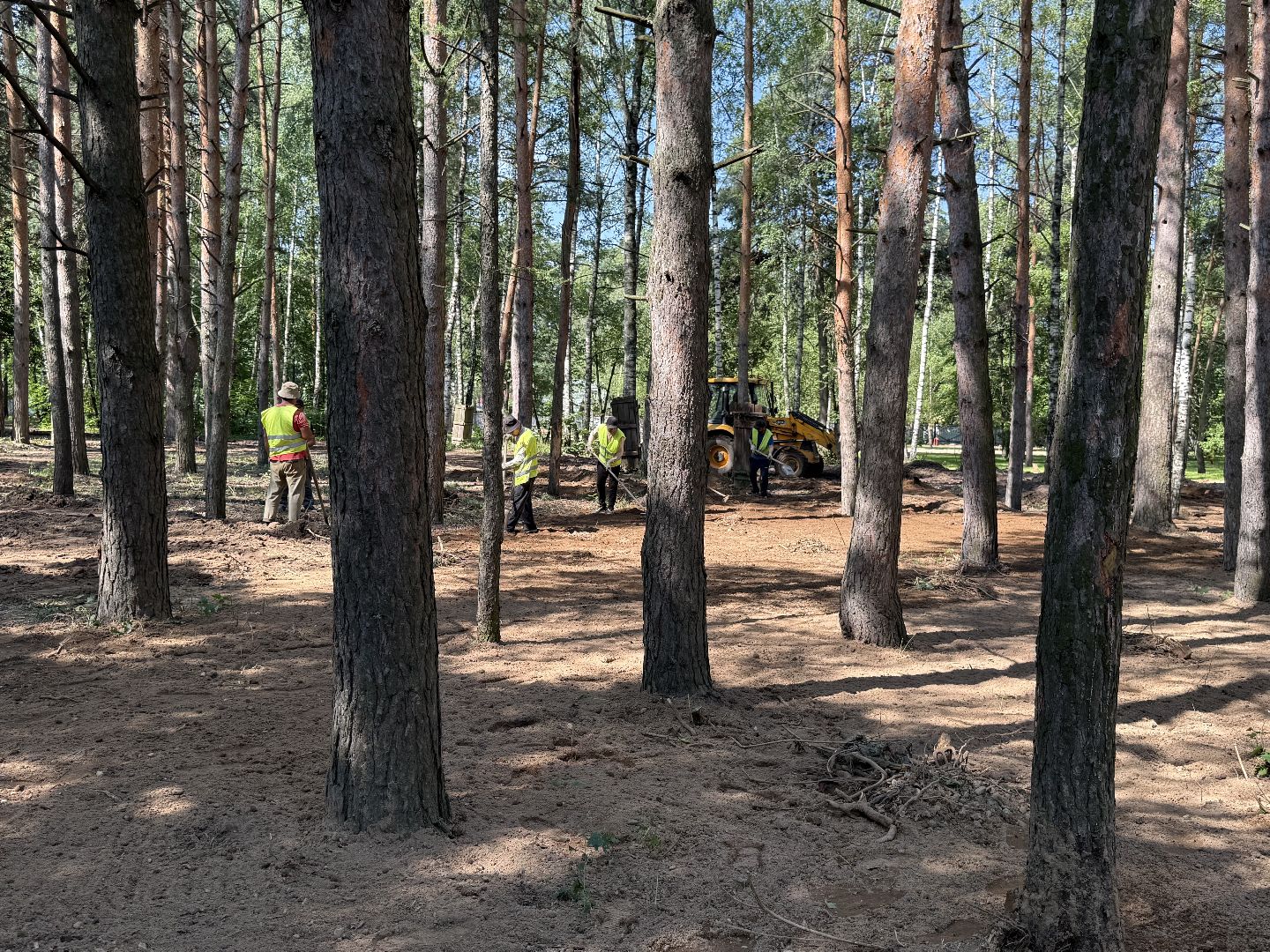 люберцы, малаховка, летний парк в малаховке, Благоустройство , глава администрации,