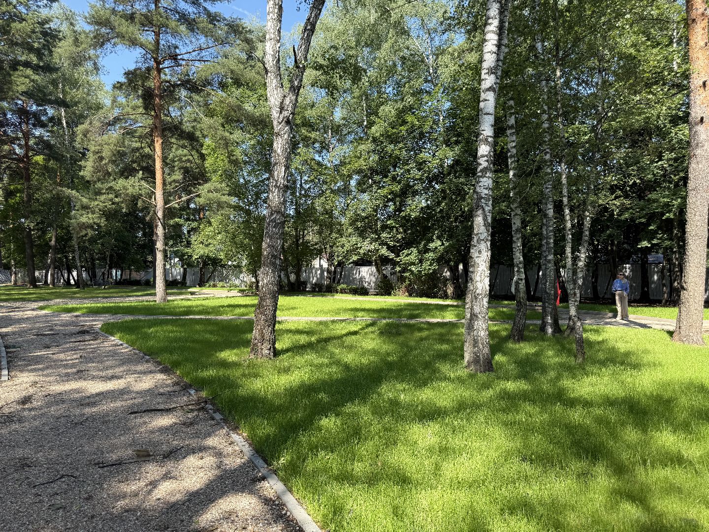 люберцы, малаховка, летний парк в малаховке, Благоустройство , глава администрации,