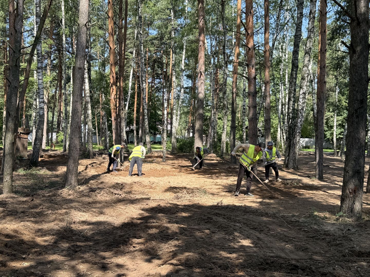 люберцы, малаховка, летний парк в малаховке, Благоустройство , глава администрации,