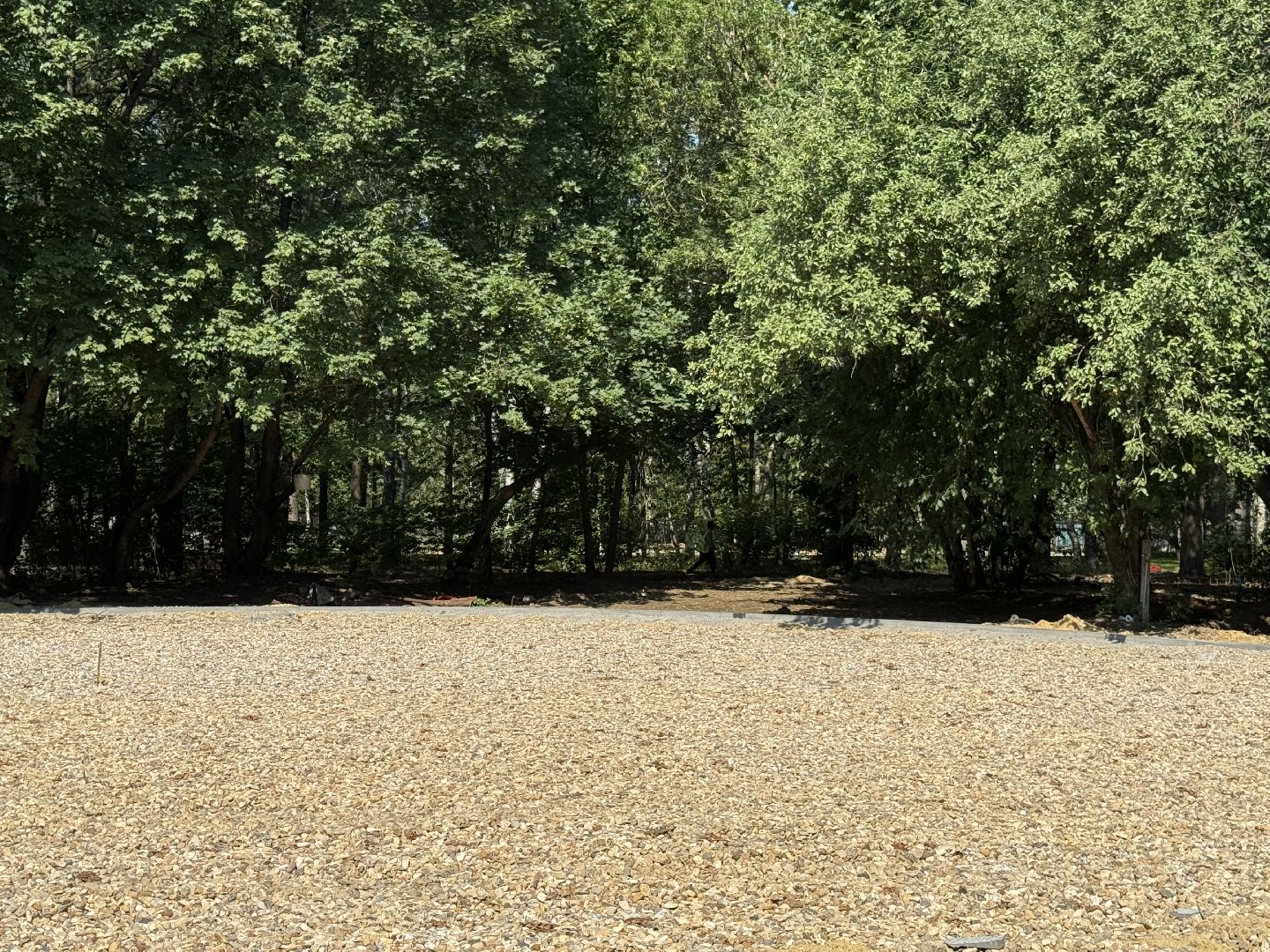 люберцы, малаховка, летний парк в малаховке, Благоустройство , глава администрации,