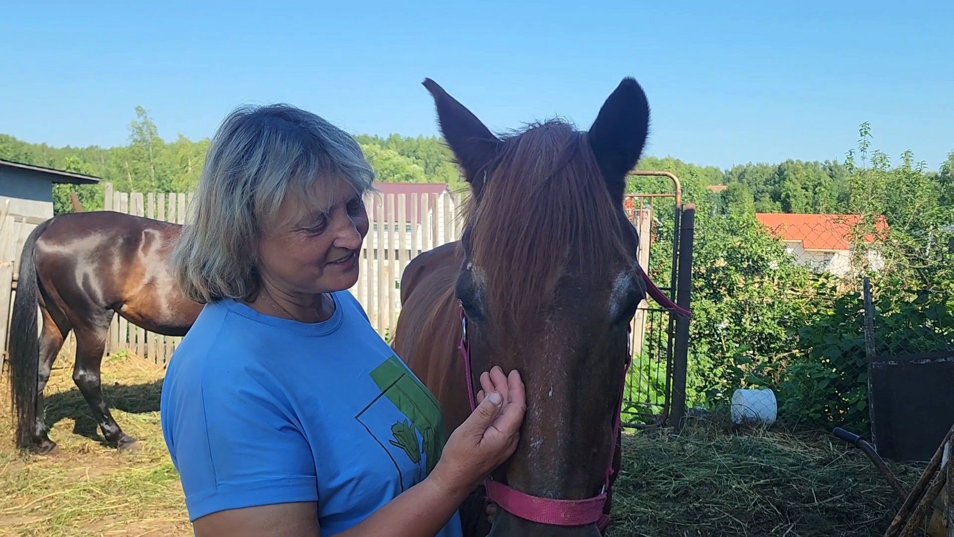 дубна, верховая езда, конный клуб, лошади, иппотерапия,