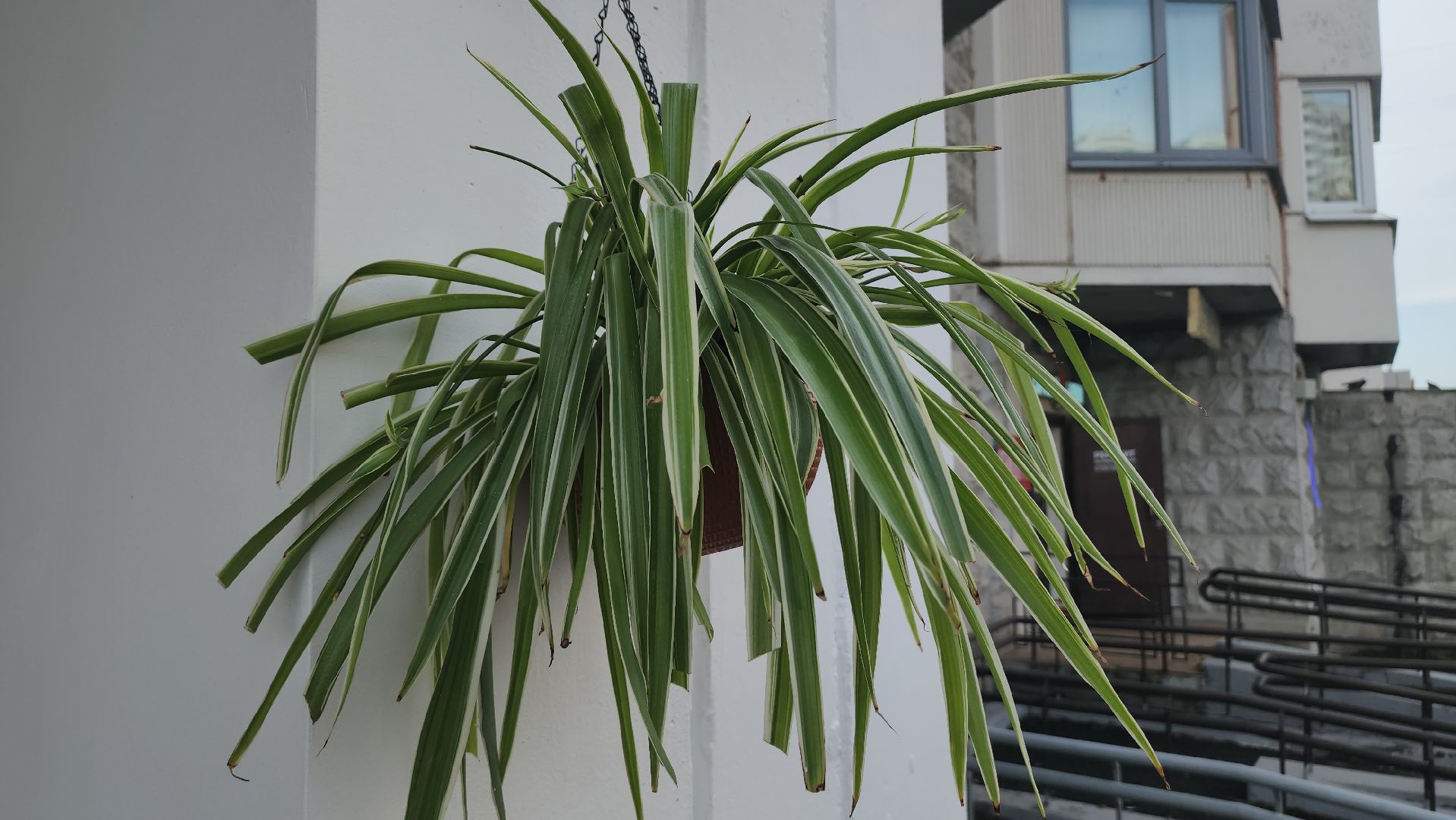 Люберцы, ремонт подъезда, комфортная городская среда,