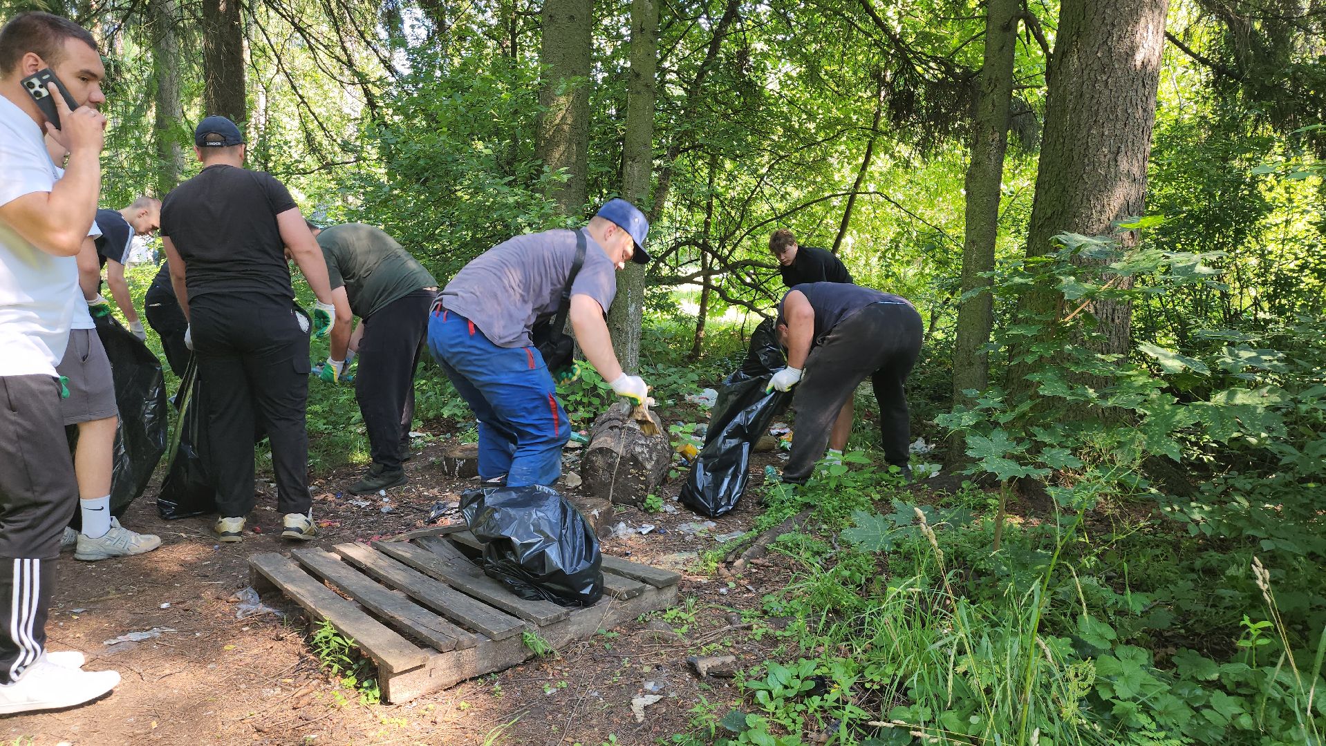 щёлково, эко акция, чистый лес, фряново,
