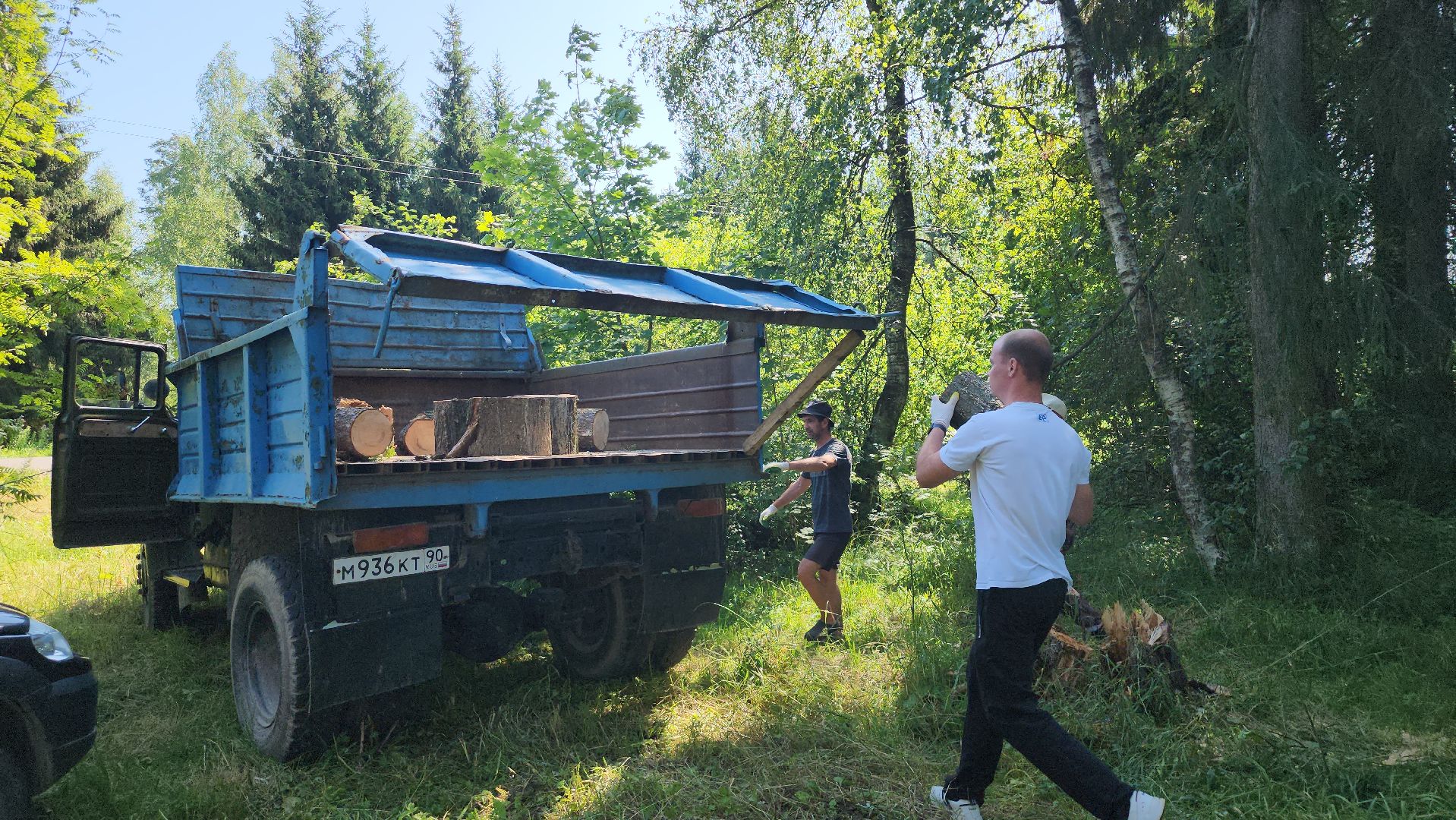 щёлково, эко акция, чистый лес, фряново,