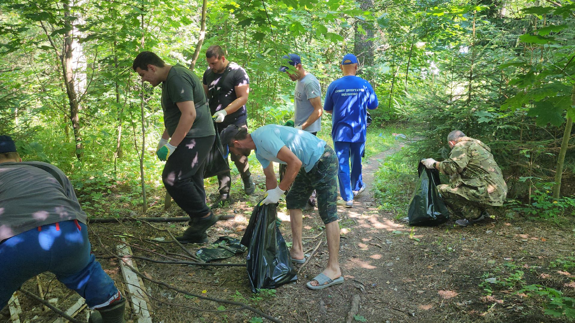 щёлково, эко акция, чистый лес, фряново,