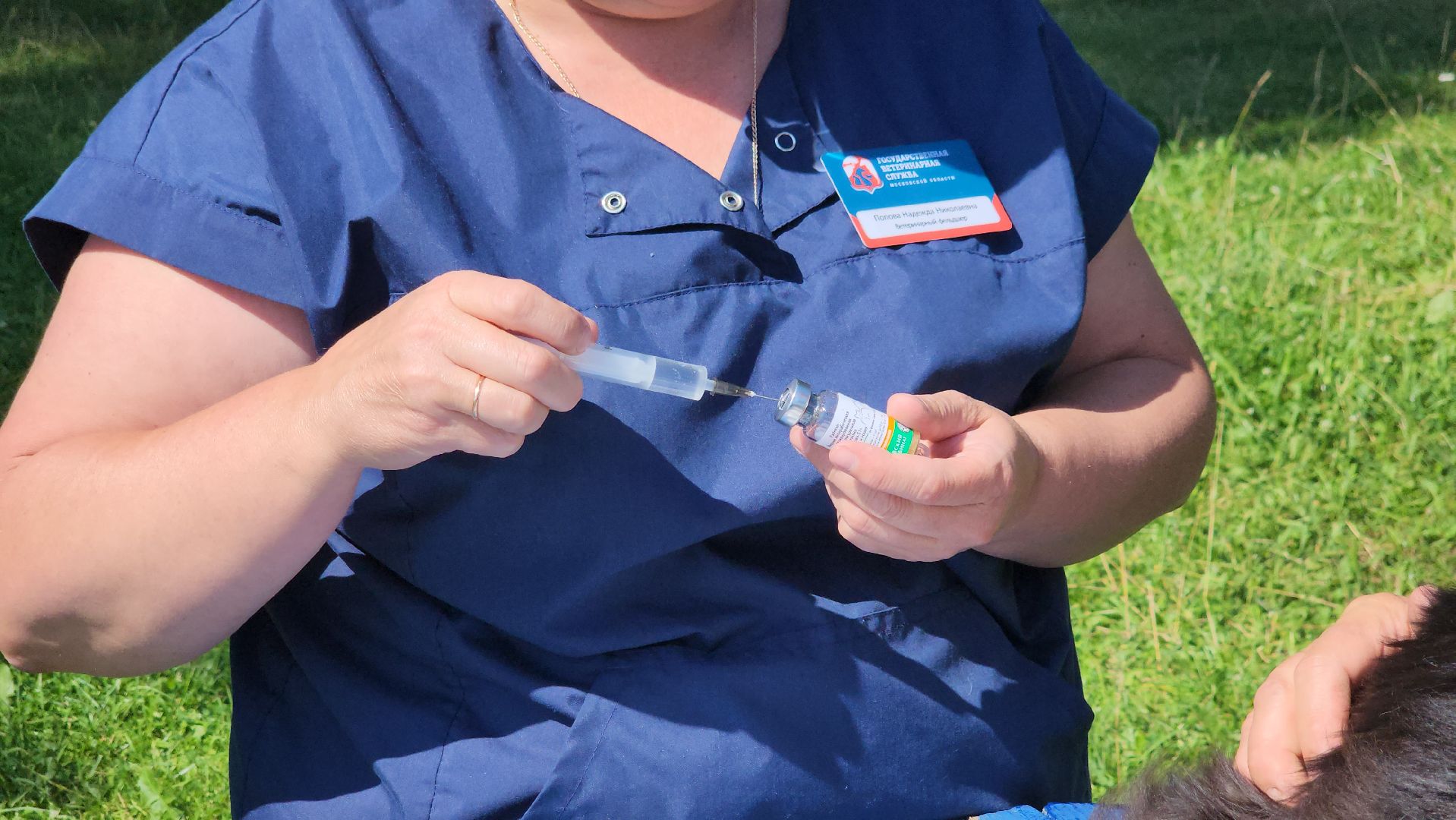 щёлково, выездная вакцинация, вакцинация животных, чипирование домашних животных,