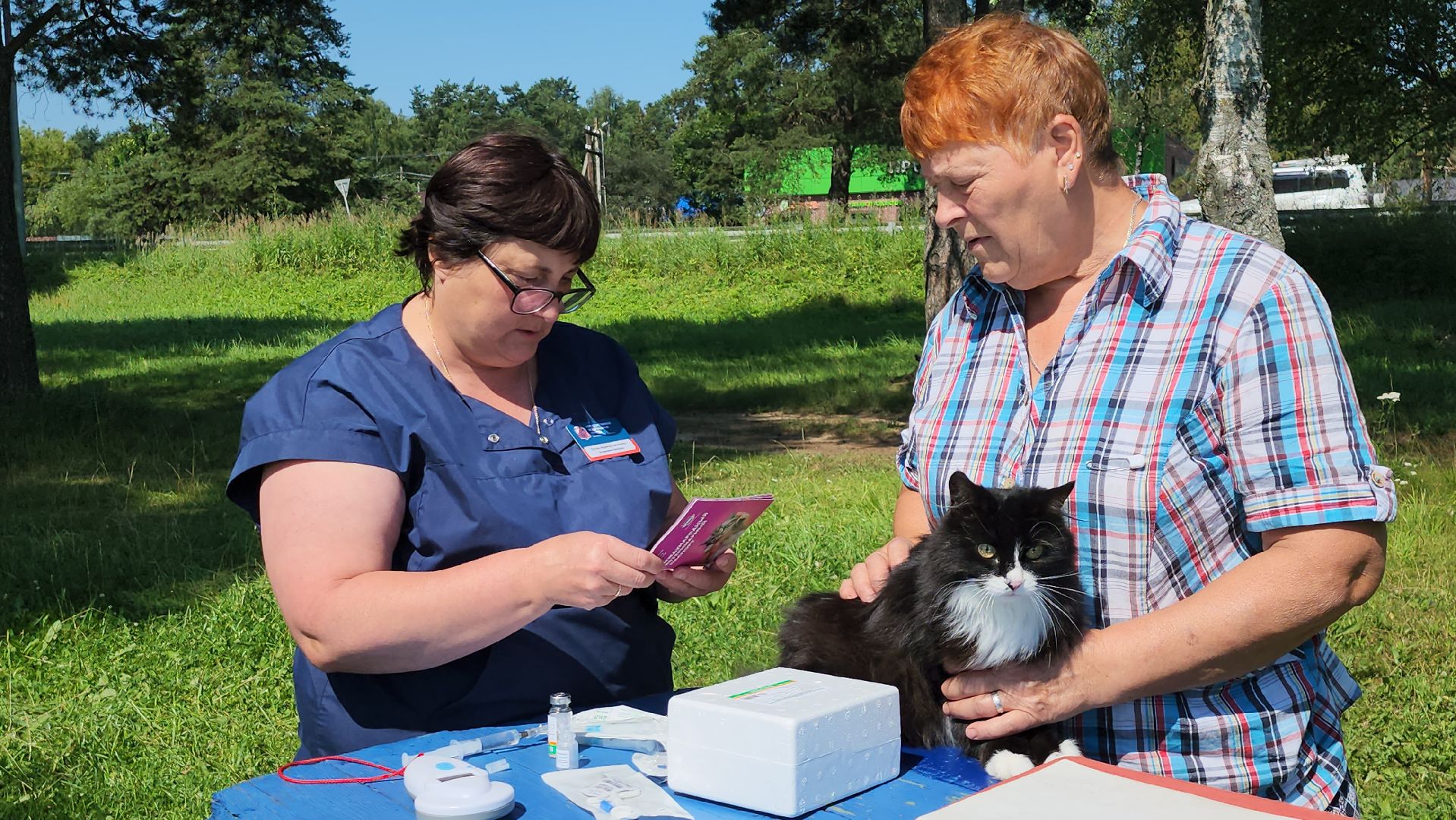 щёлково, выездная вакцинация, вакцинация животных, чипирование домашних животных,