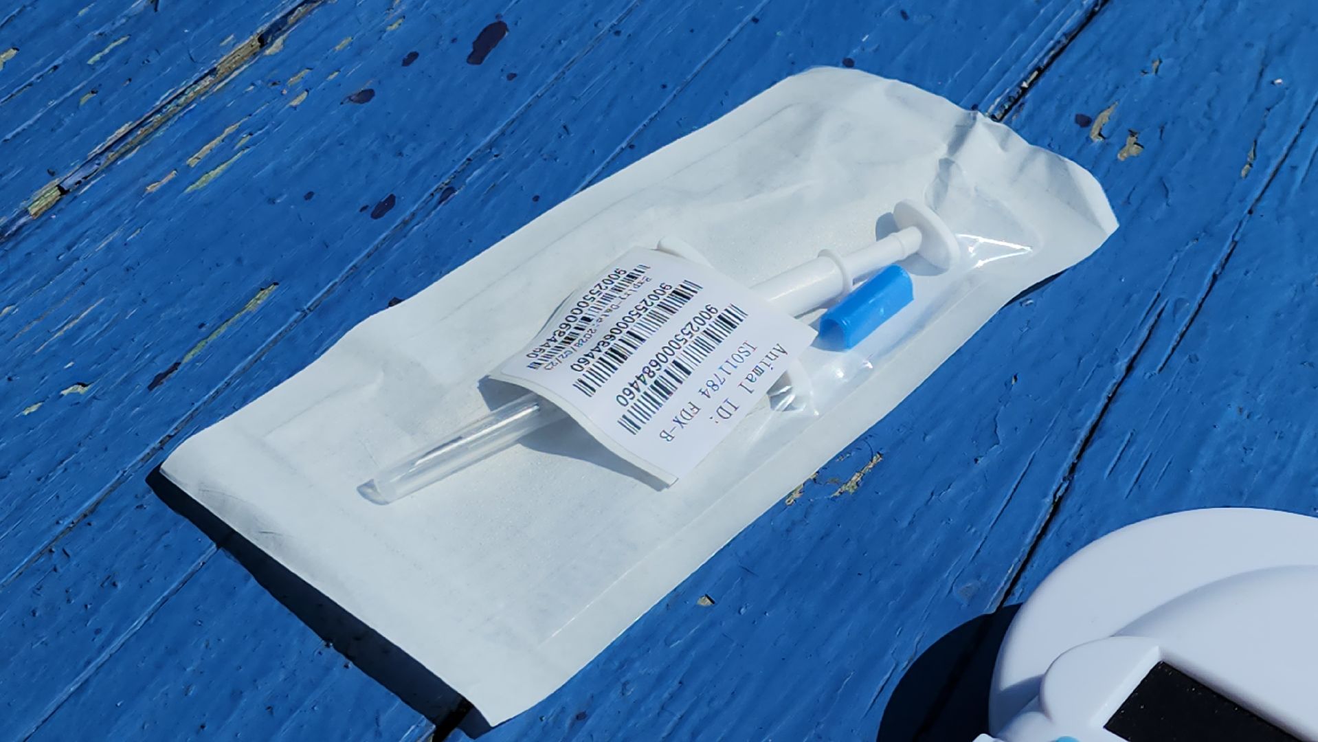 щёлково, выездная вакцинация, вакцинация животных, чипирование домашних животных,