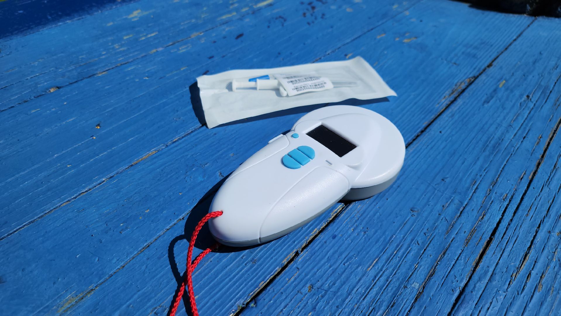 щёлково, выездная вакцинация, вакцинация животных, чипирование домашних животных,