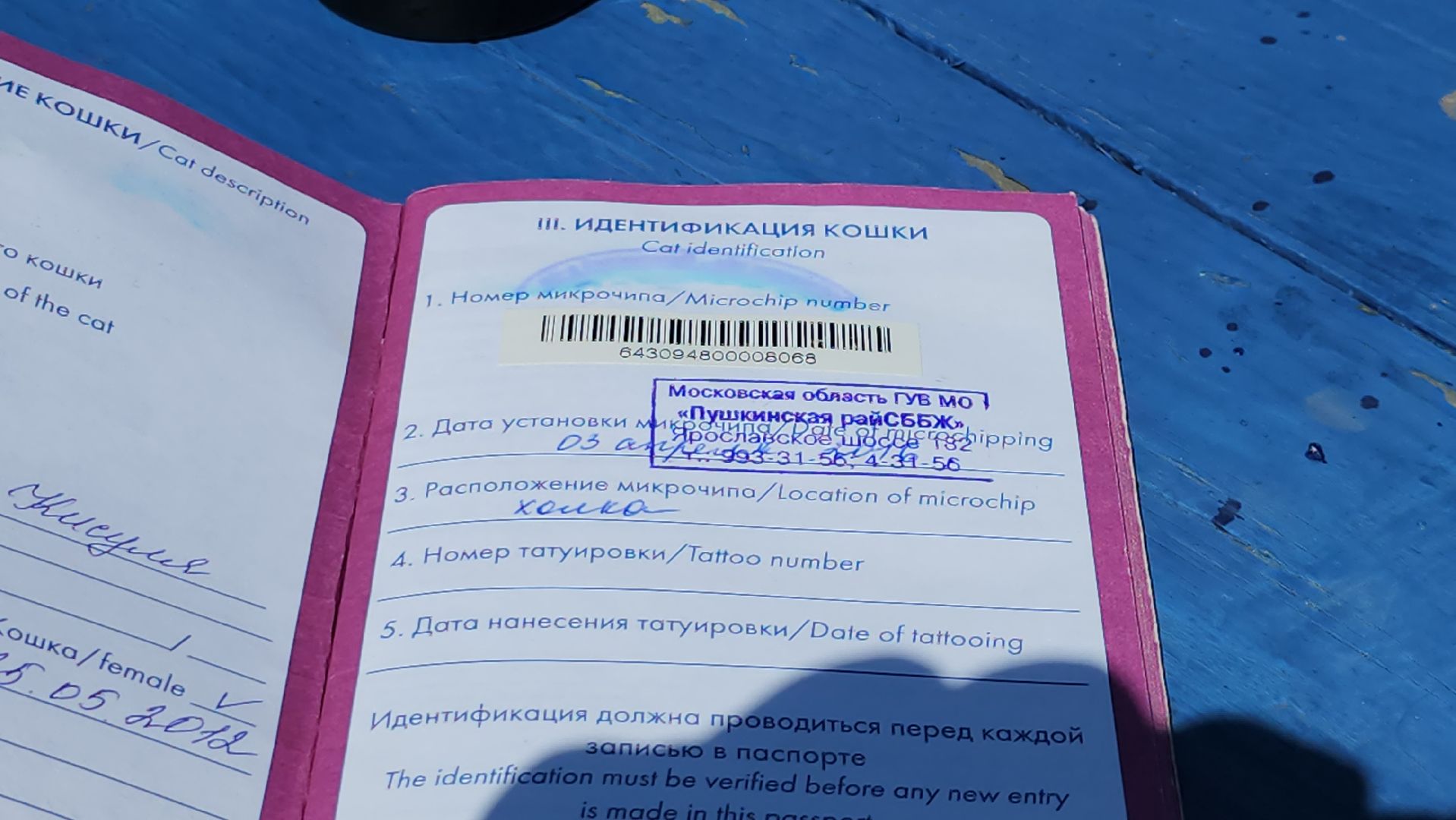 щёлково, выездная вакцинация, вакцинация животных, чипирование домашних животных,