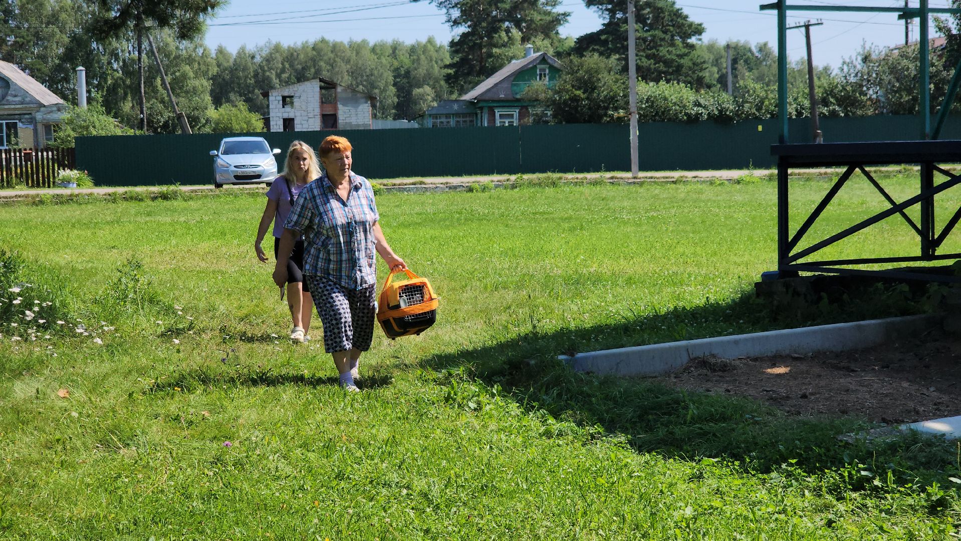 щёлково, выездная вакцинация, вакцинация животных, чипирование домашних животных,