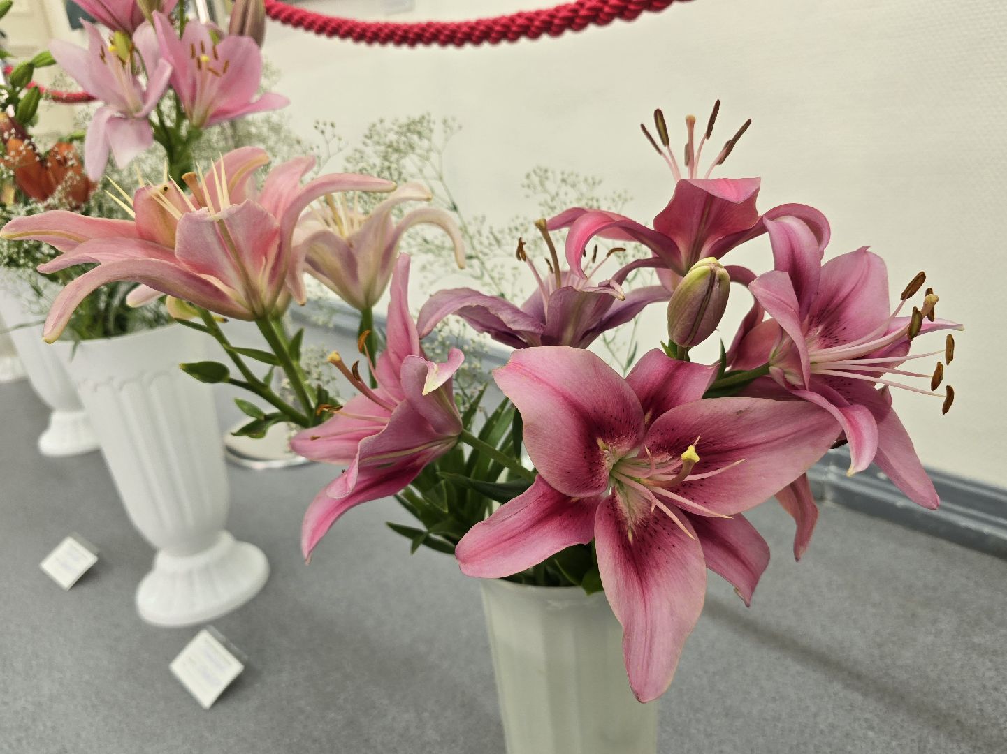 Коломна, цветы, выставка ,