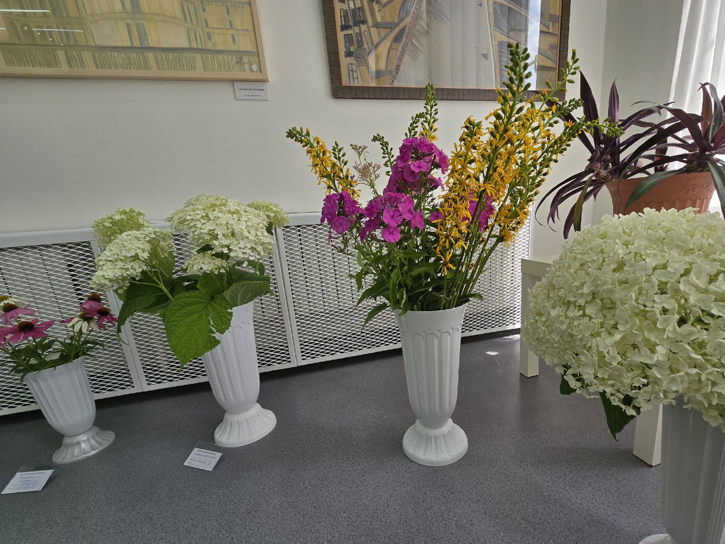 Коломна, цветы, выставка ,