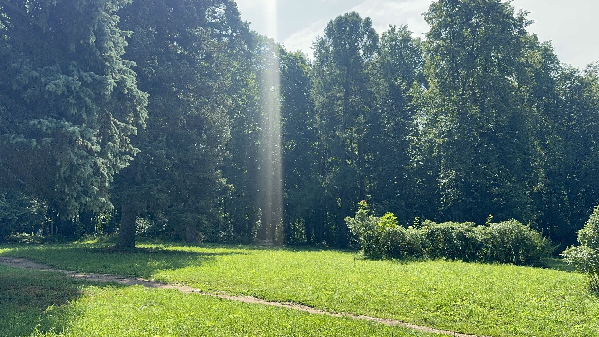 дуб волконских,  ленинский городской округ, усадьба суханово, конкурс дерево года - 2025, топ 10,