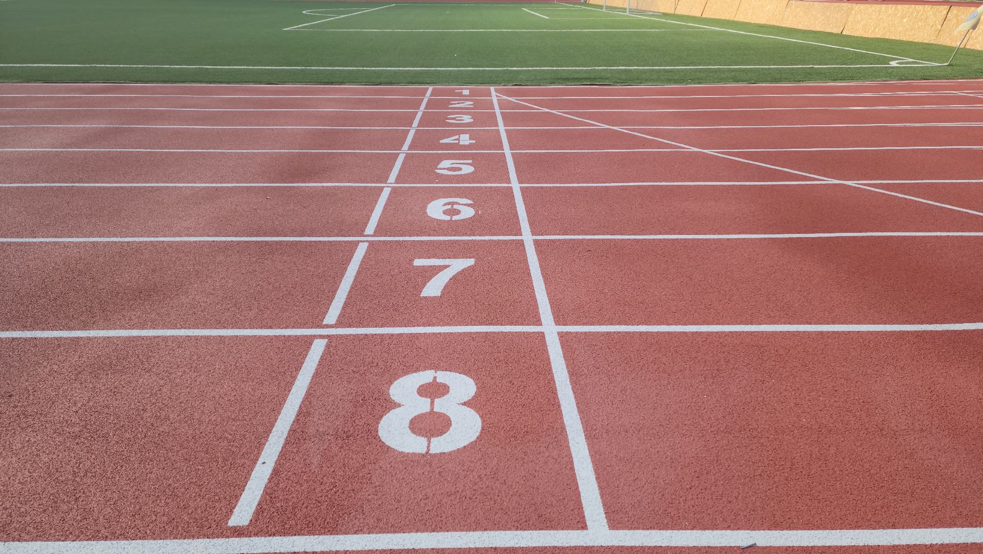 стадион зоркий, красногорск, модернизация, реконструкция,