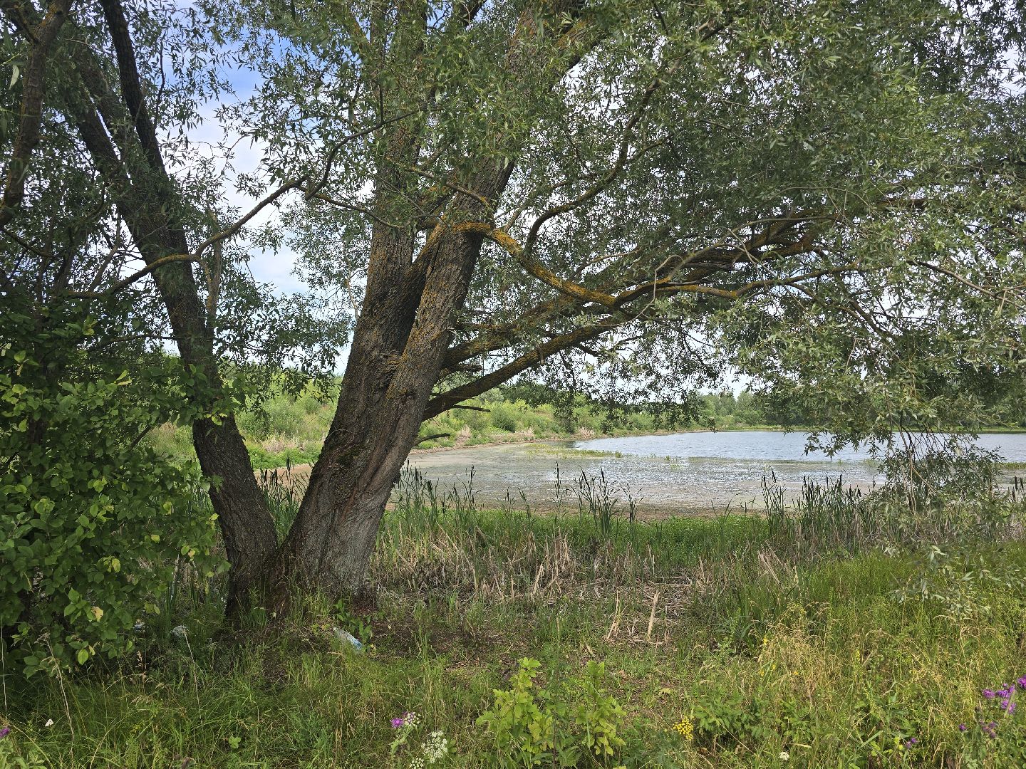 Коломна, 100 прудов и озер, очистка водоемов,