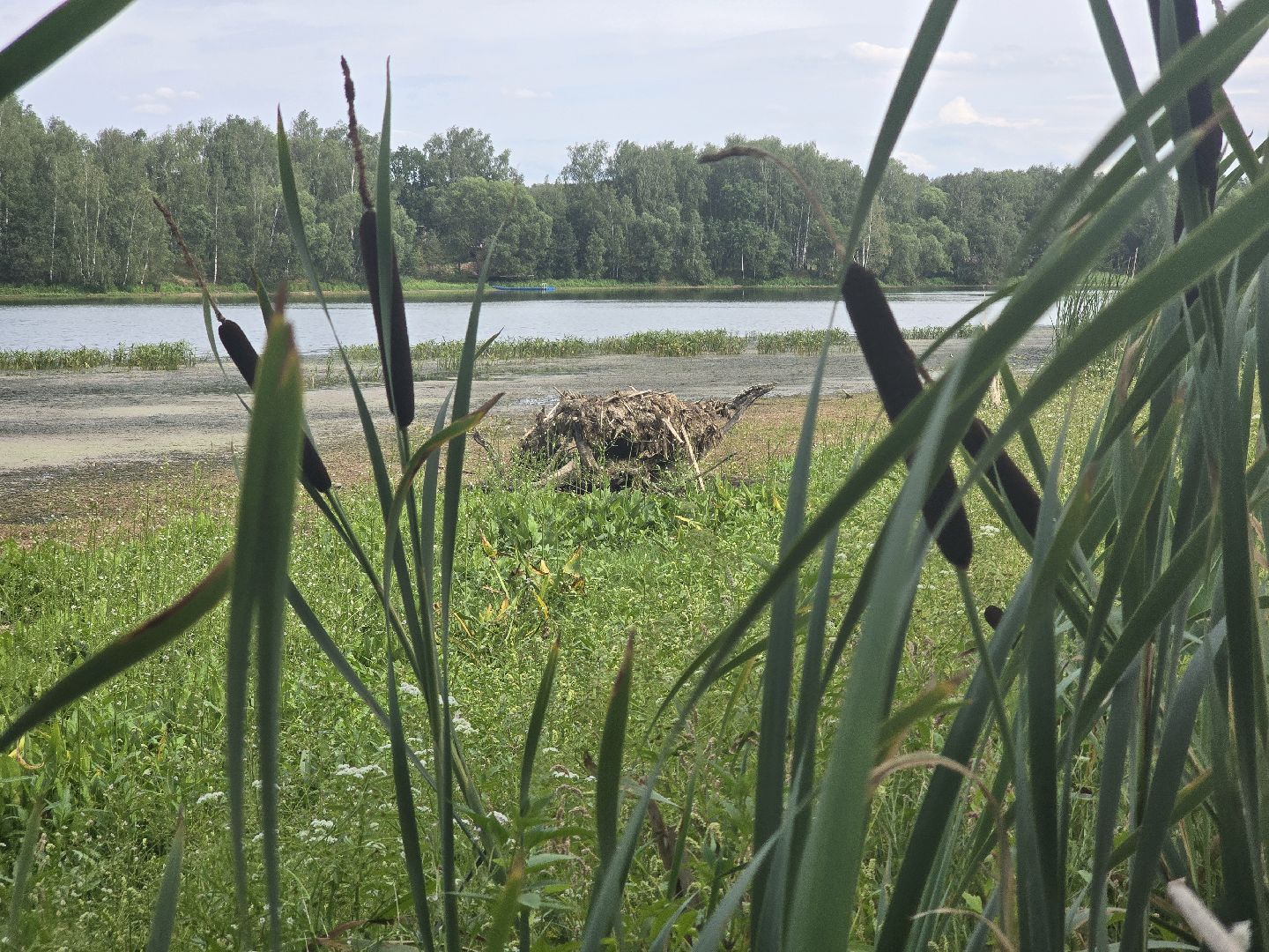 Коломна, 100 прудов и озер, очистка водоемов,