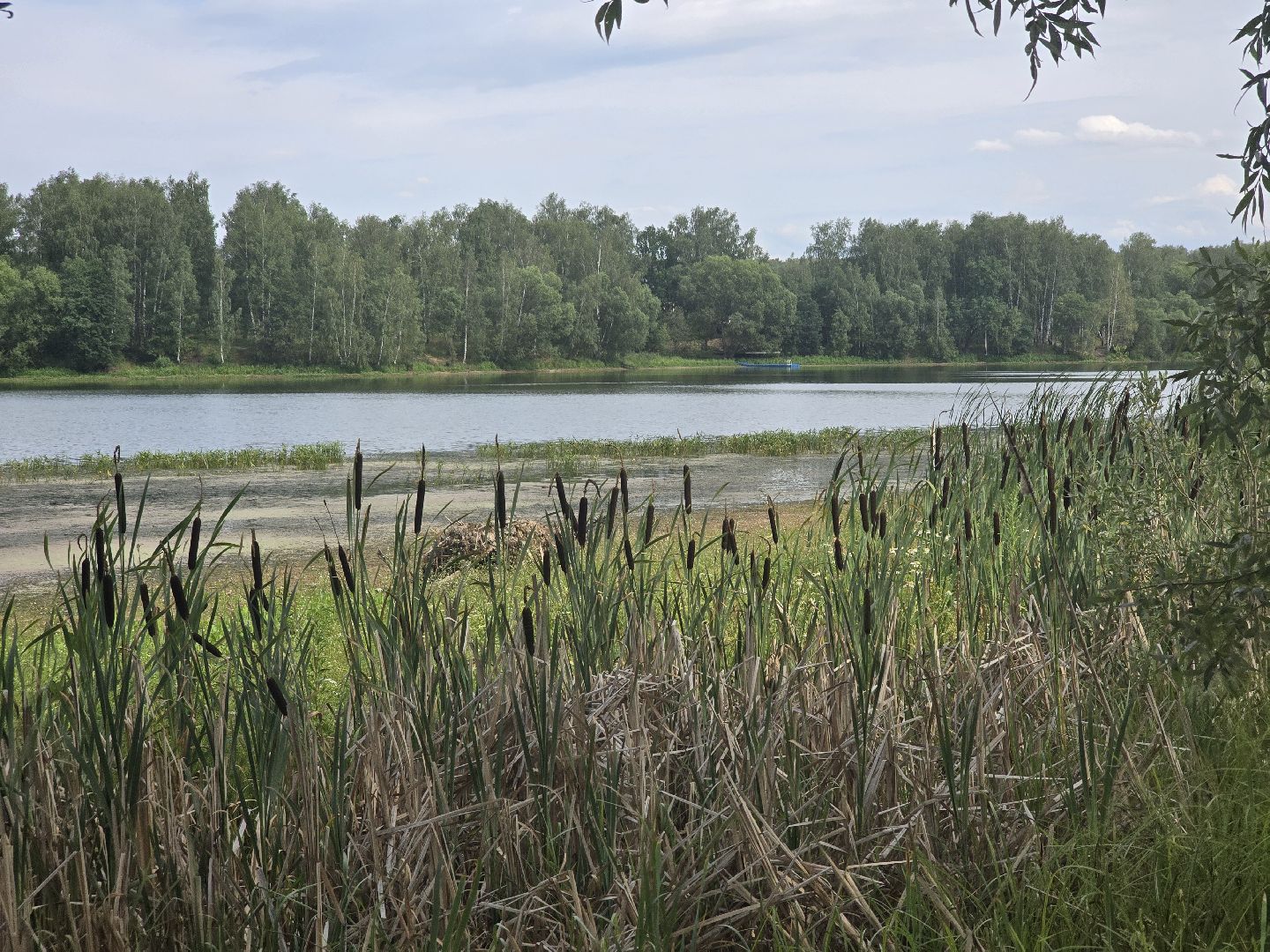 Коломна, 100 прудов и озер, очистка водоемов,