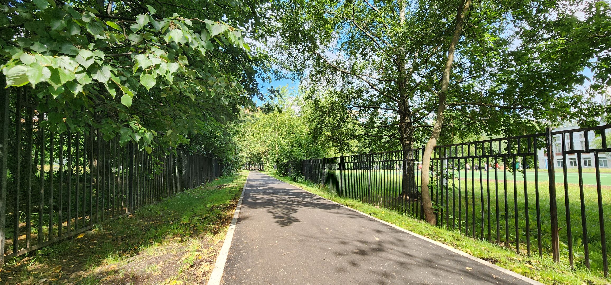 Химки, Дороги, Народные тропы,  Благоустройство ,