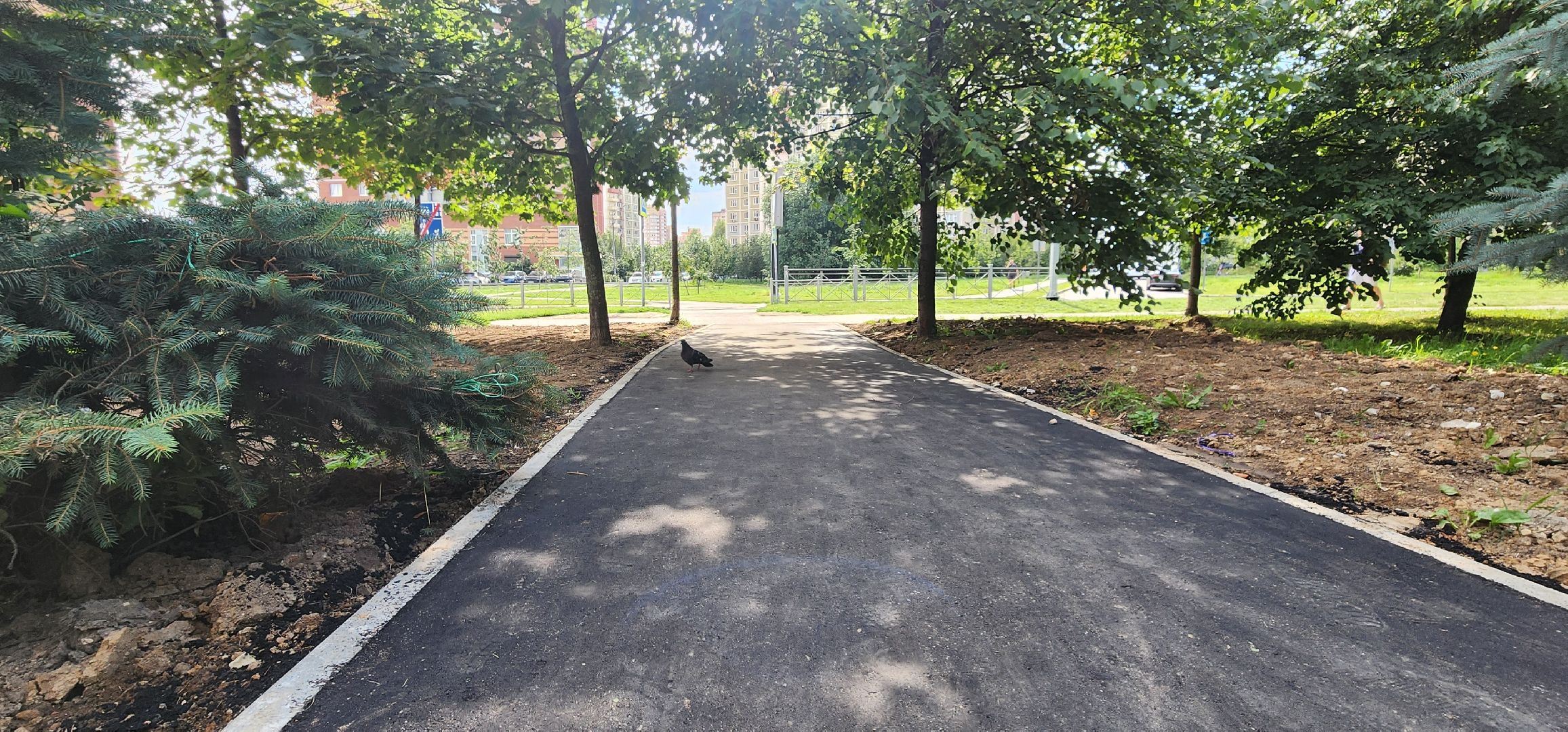 Химки, Дороги, Народные тропы,  Благоустройство ,