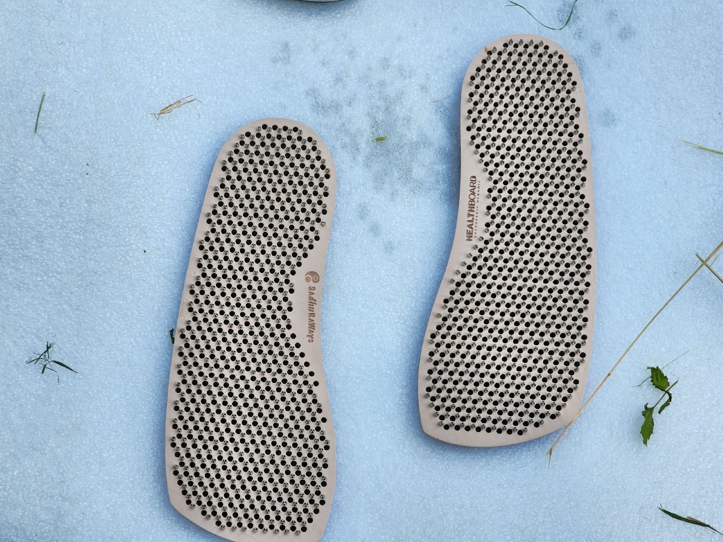 фестиваль, зож, глуховский парк, ногинск, богородский городской округ,