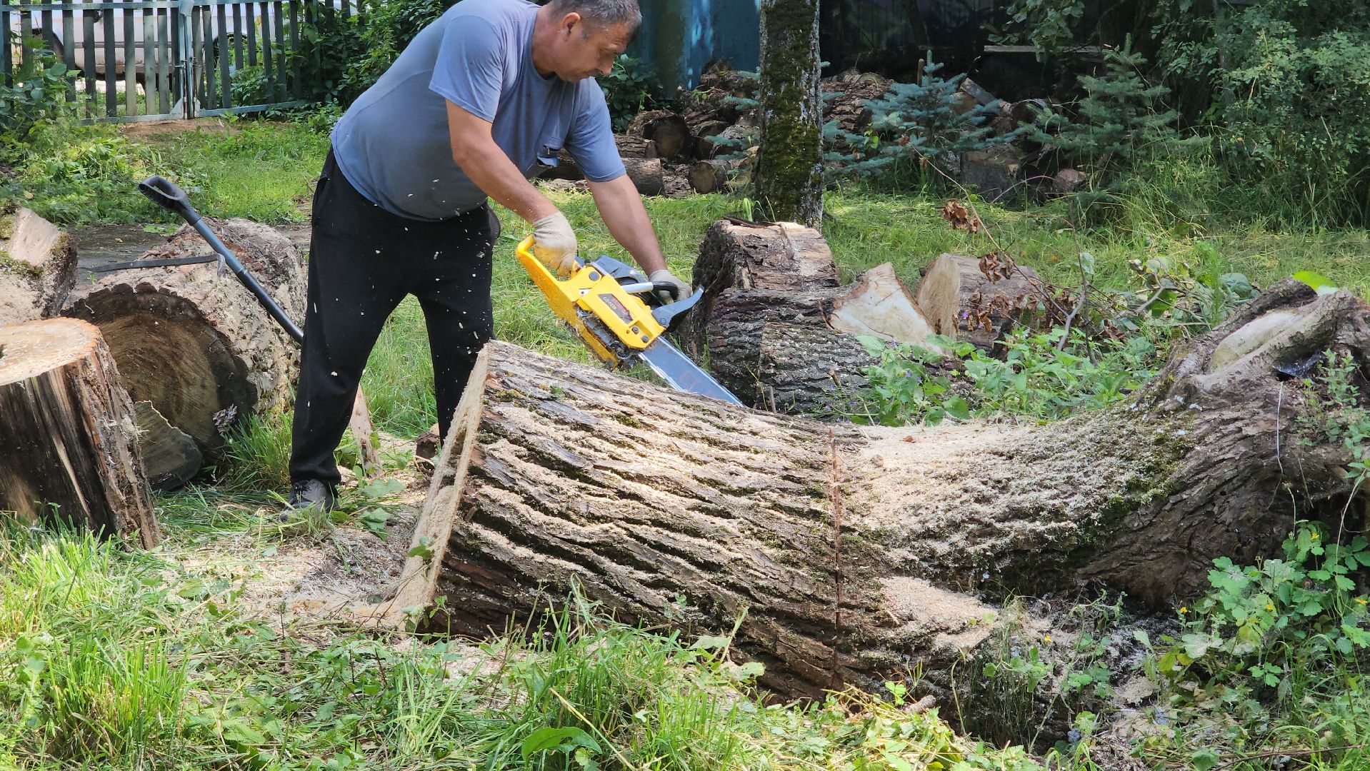 Дача Маяковского , Пушкино , День рождения Маяковского,
