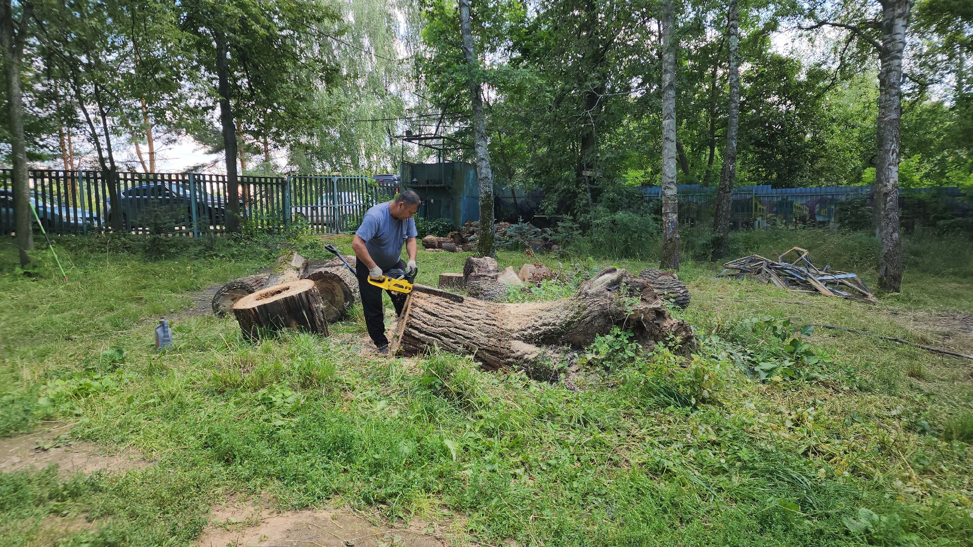 Дача Маяковского , Пушкино , День рождения Маяковского,
