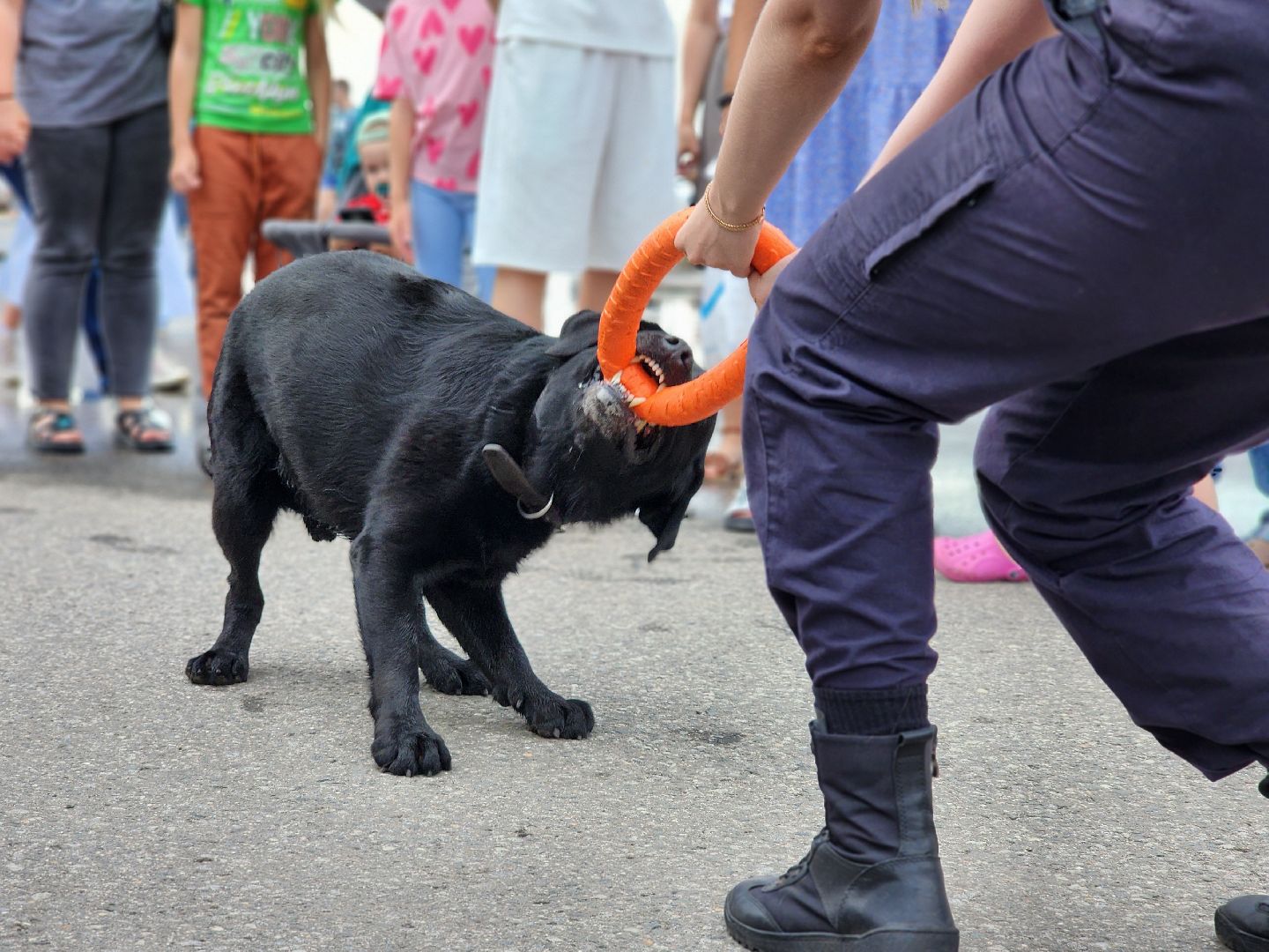 пушкино, пушкинский городской округ, пушкино парк, мчс, пушкинский аварийно-спасательный отряд, пожарная охрана,  пожарные приключение, пушкинское умвд,