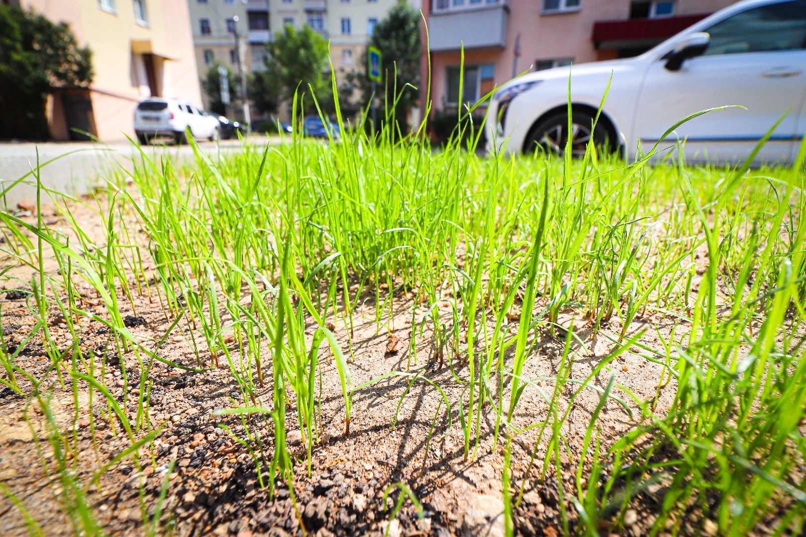 клин, благоустройство, дворы, дороги,