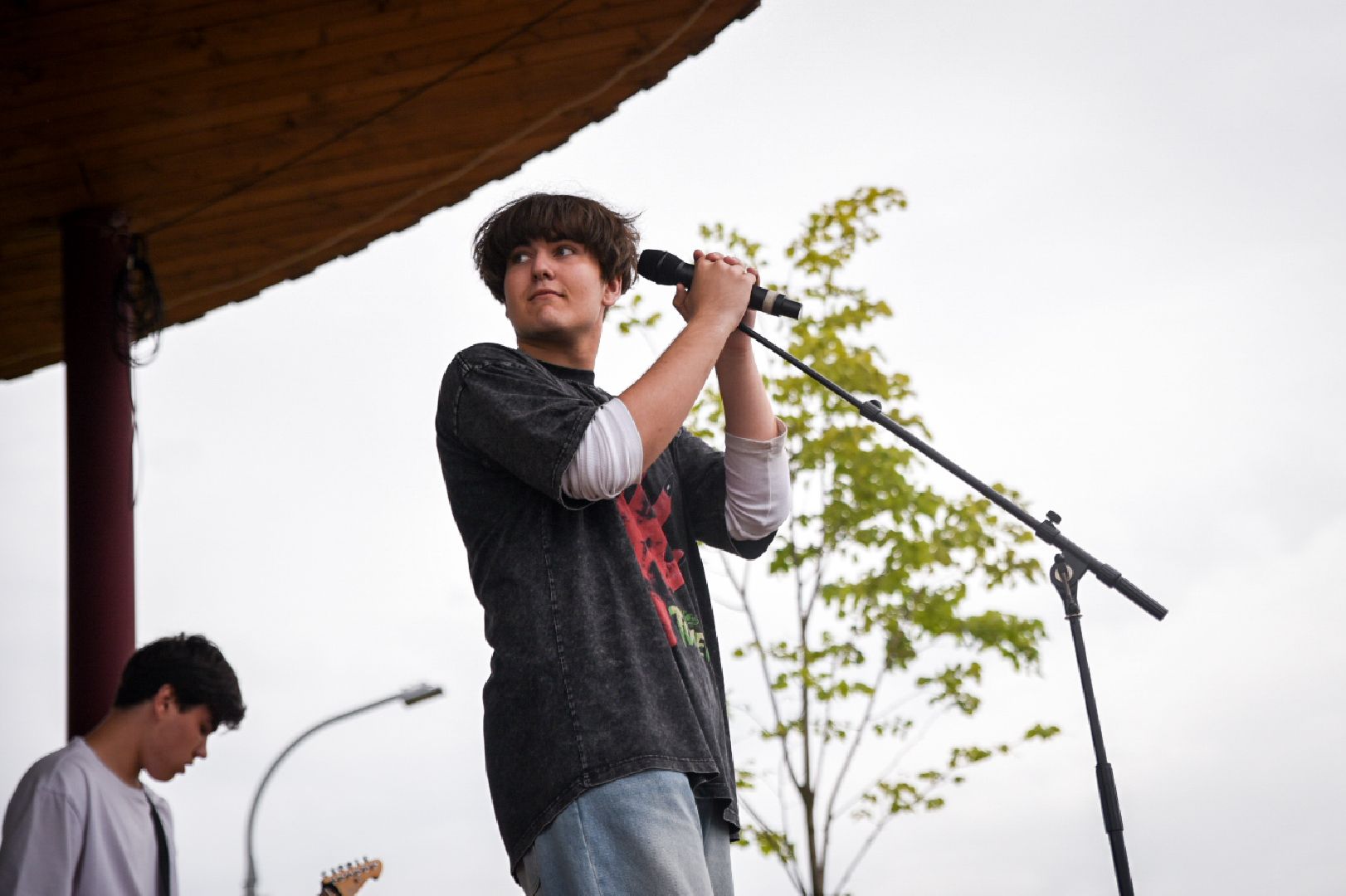 бронницы, ночь в парке бронницы, парк бронницкий луг, альтернативный рок в бронницах, бронницкие музыканты ,