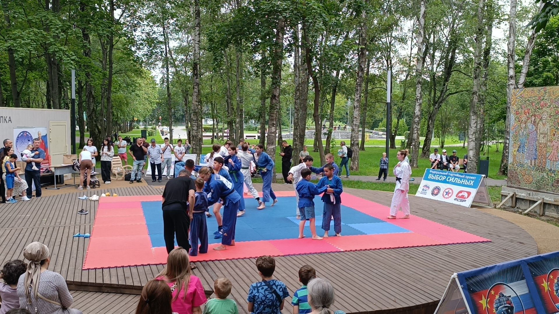 дзюдо, спорт, парк, лобня,