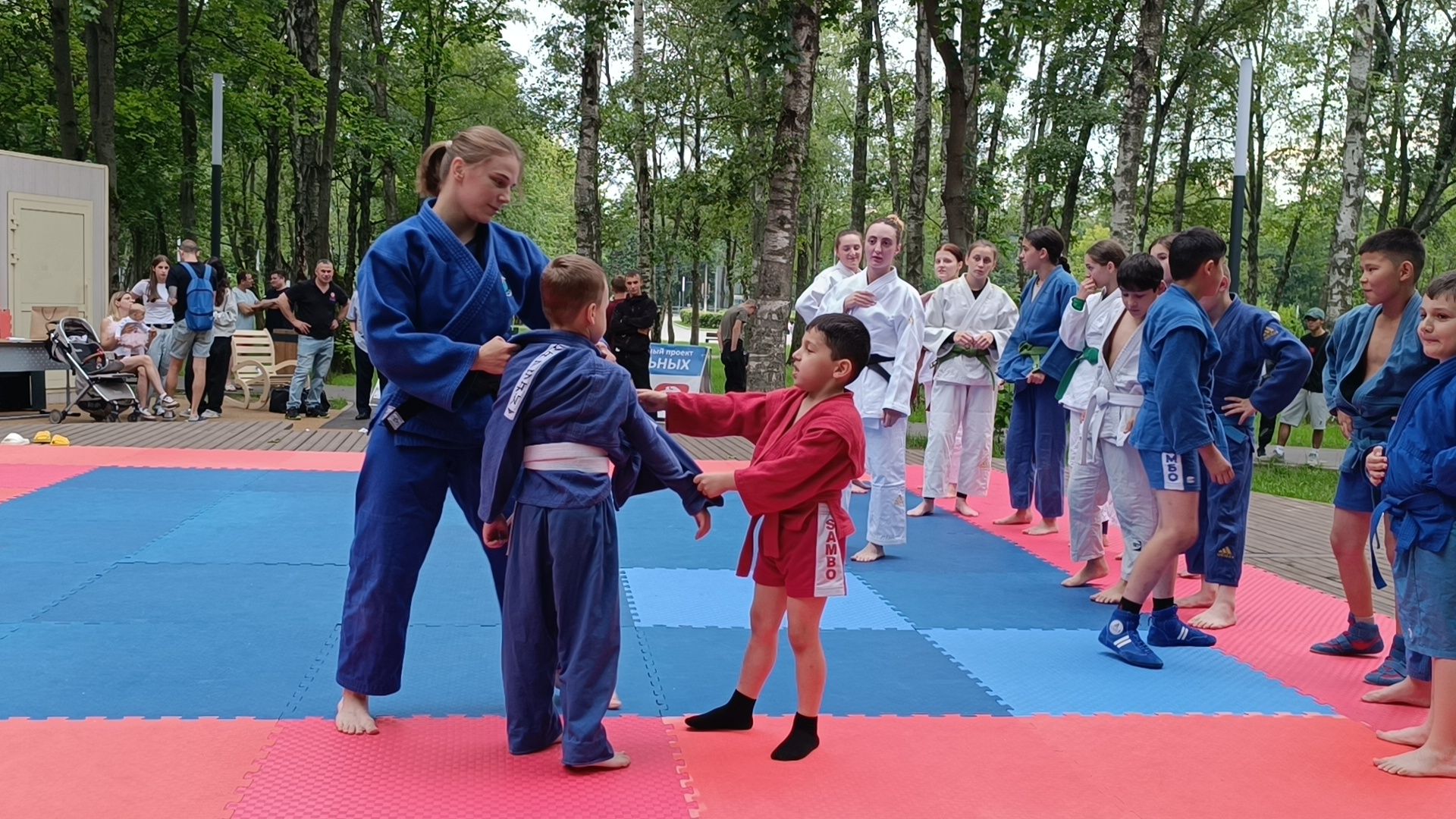дзюдо, спорт, парк, лобня,