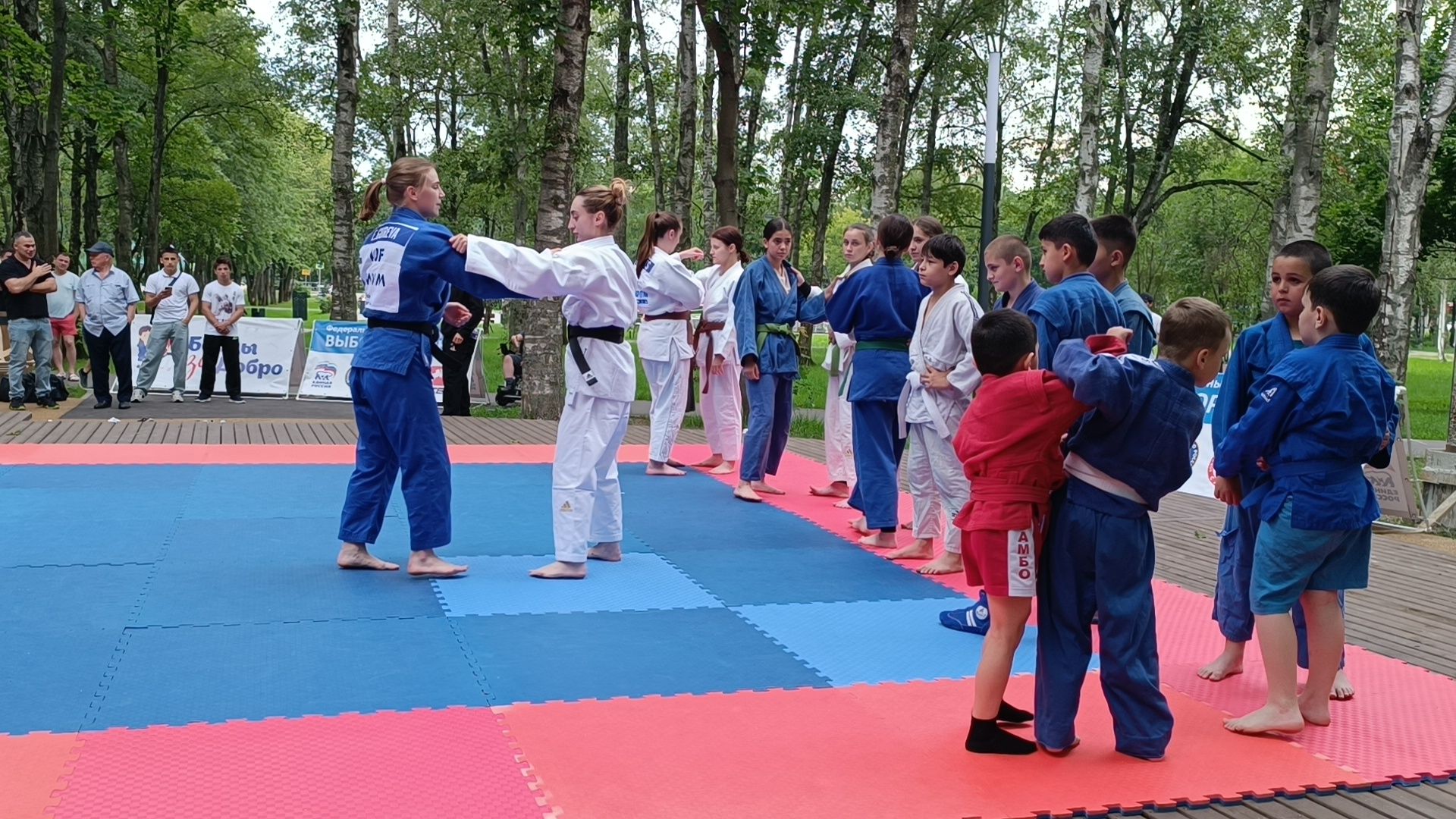 дзюдо, спорт, парк, лобня,