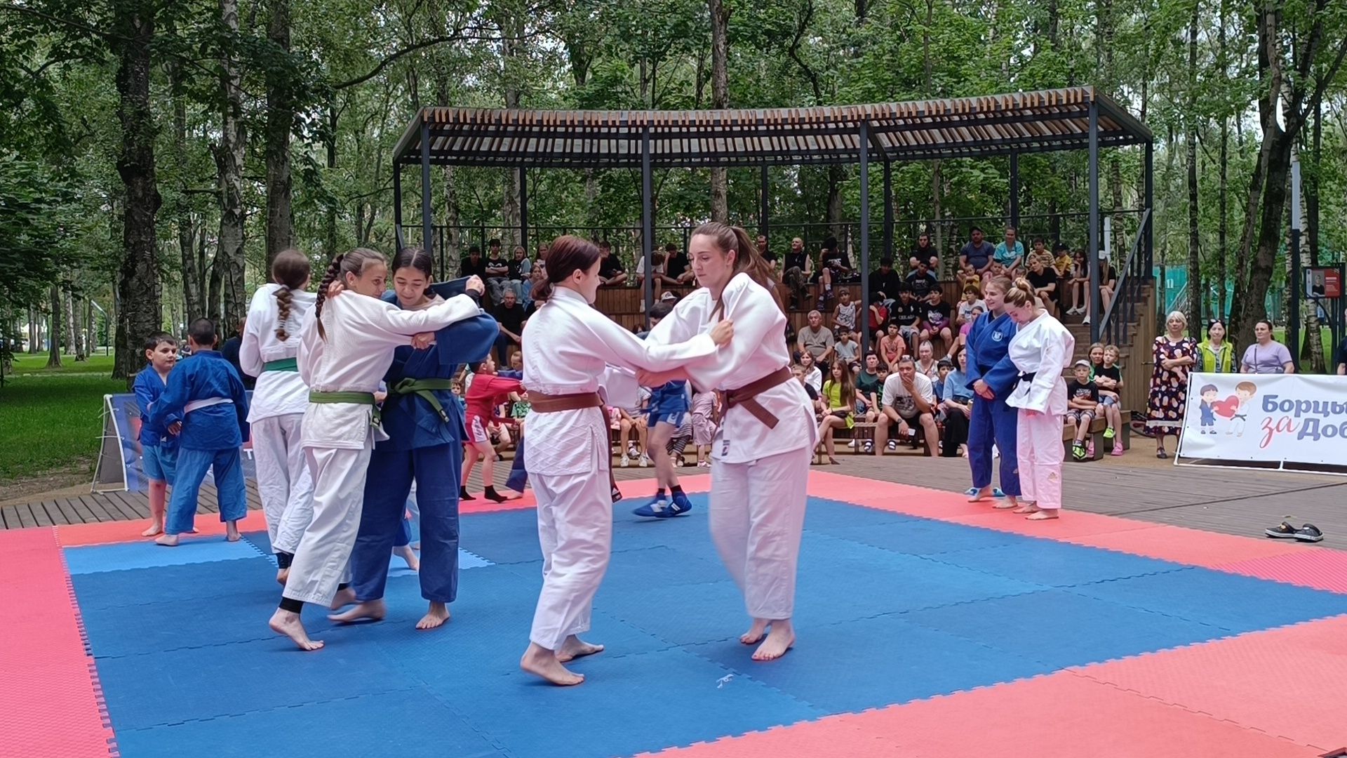 дзюдо, спорт, парк, лобня,