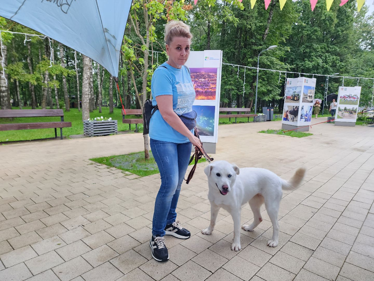 солнечногорск, животные, собаки, помощь , волонтеры ,