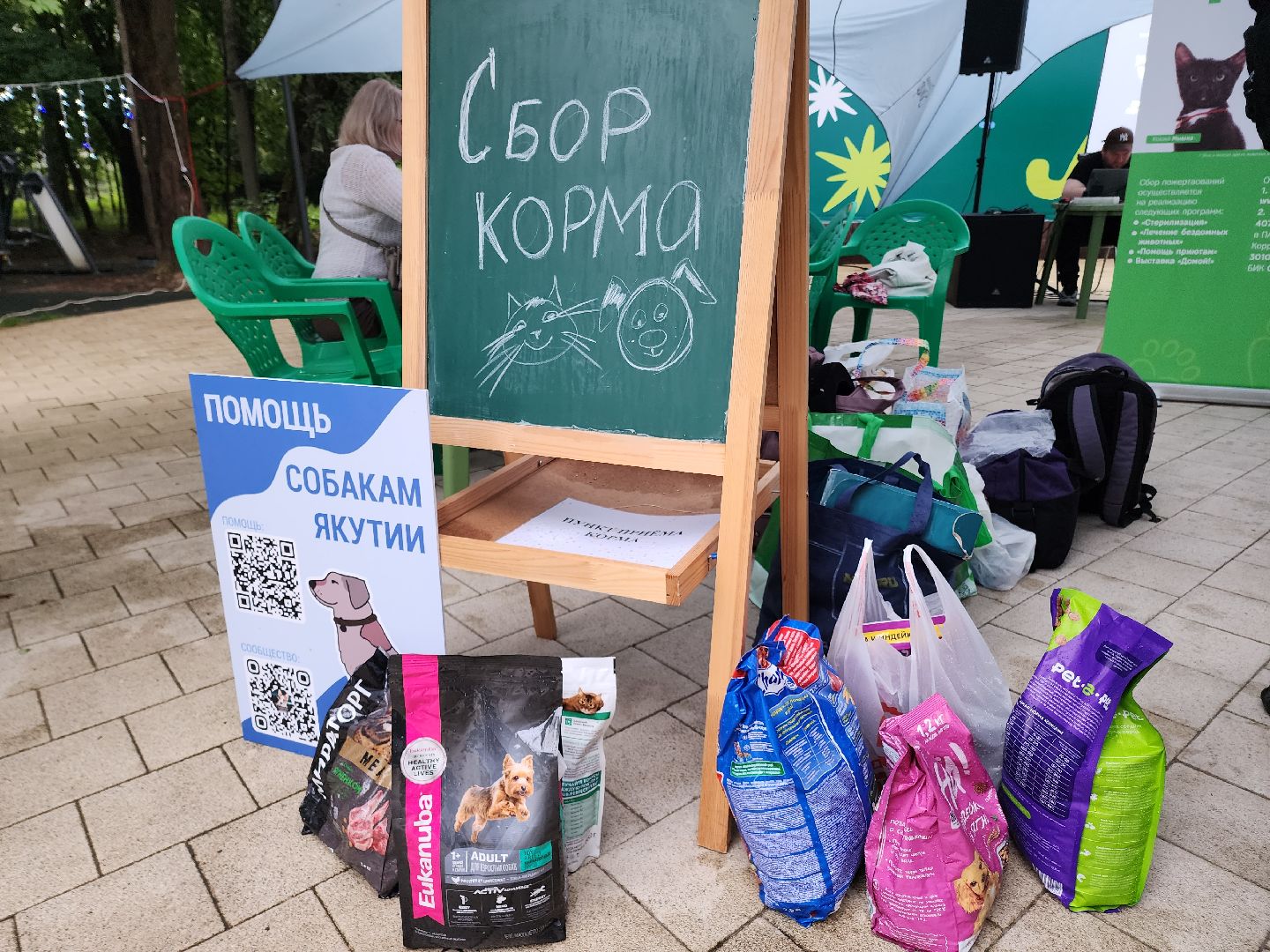 солнечногорск, животные, собаки, помощь , волонтеры ,