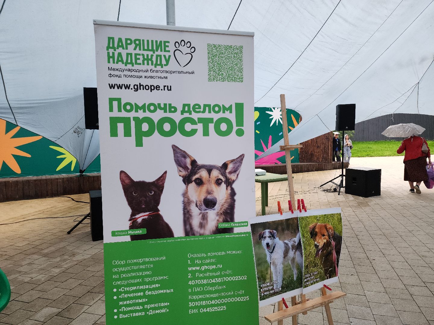 солнечногорск, животные, собаки, помощь , волонтеры ,