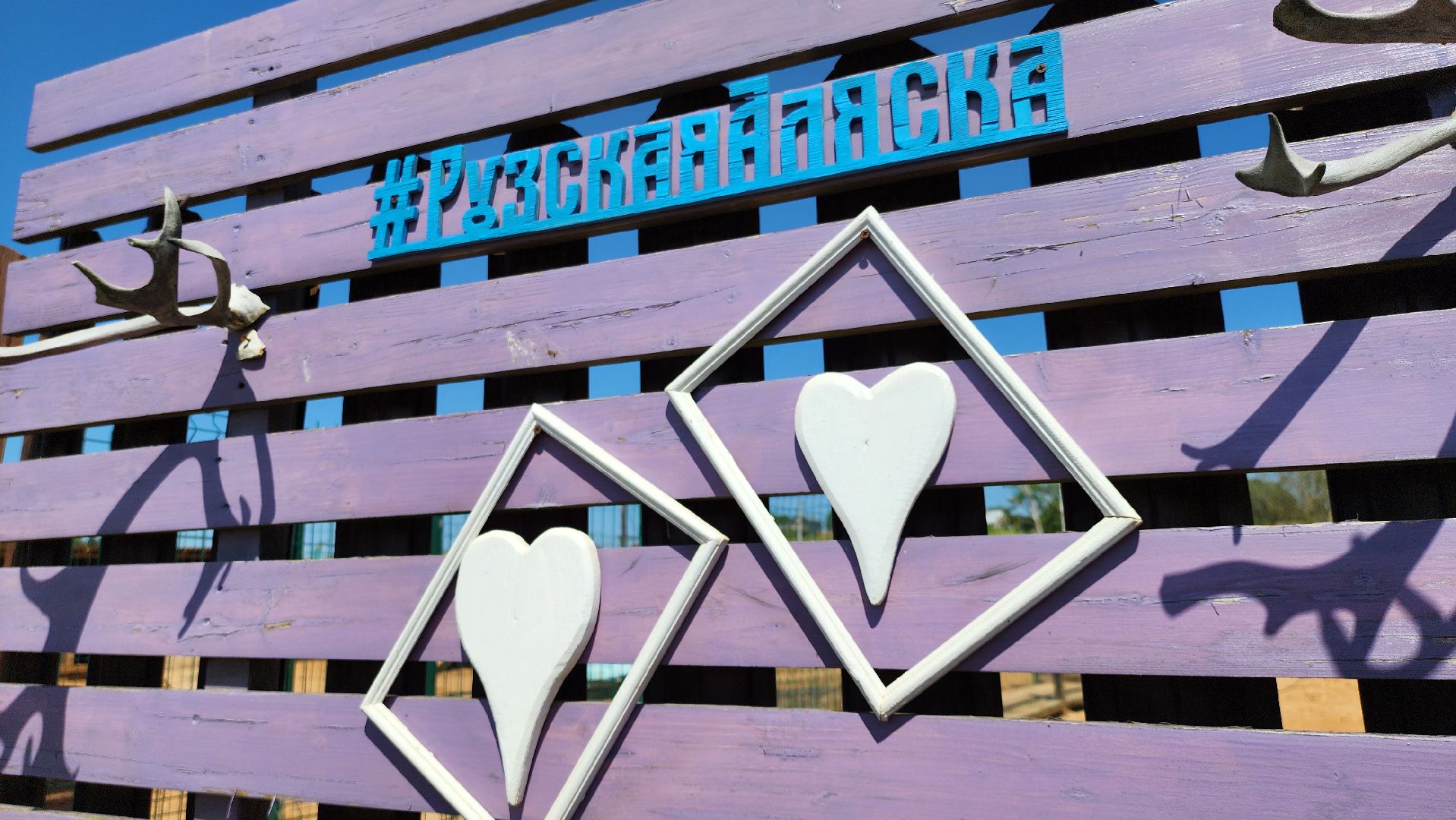 Руза, Павлины, рузская аляска, Туризм , хаски-деревня,