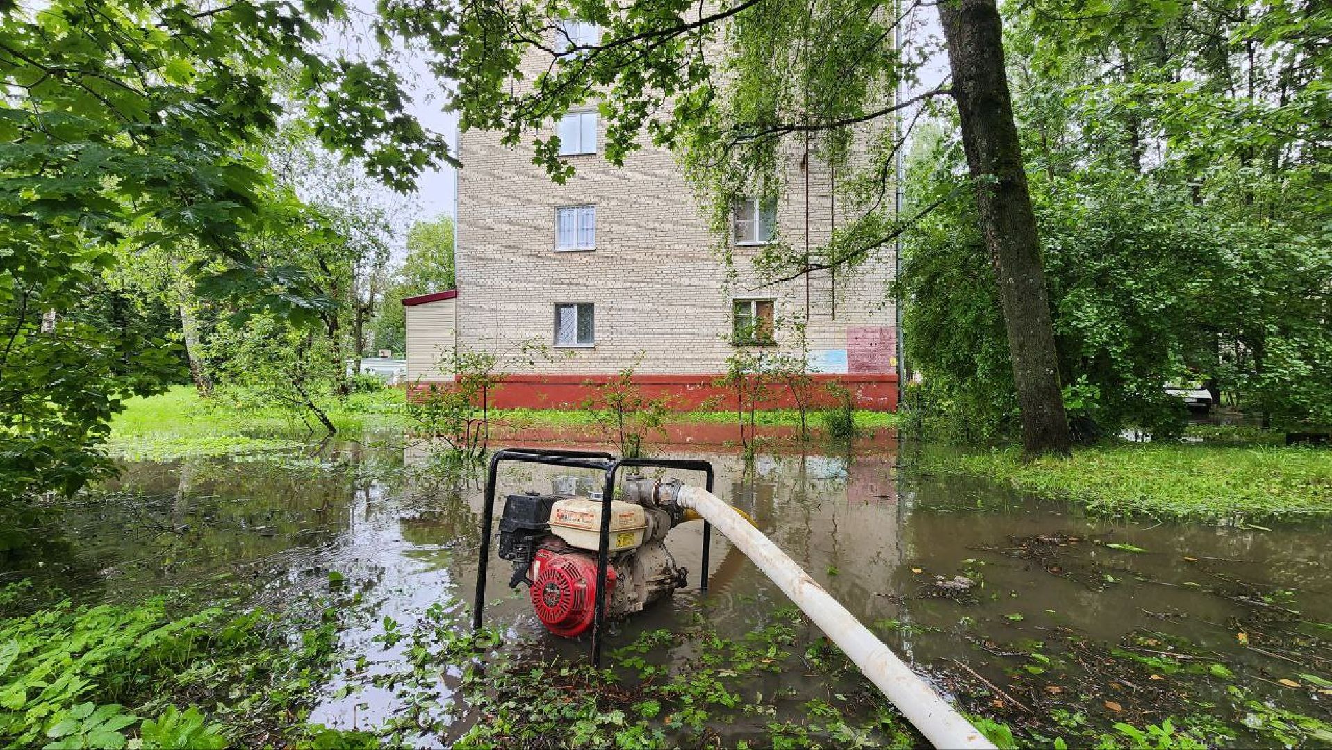 солнечногорск, погода, дождь, устранение последствий,