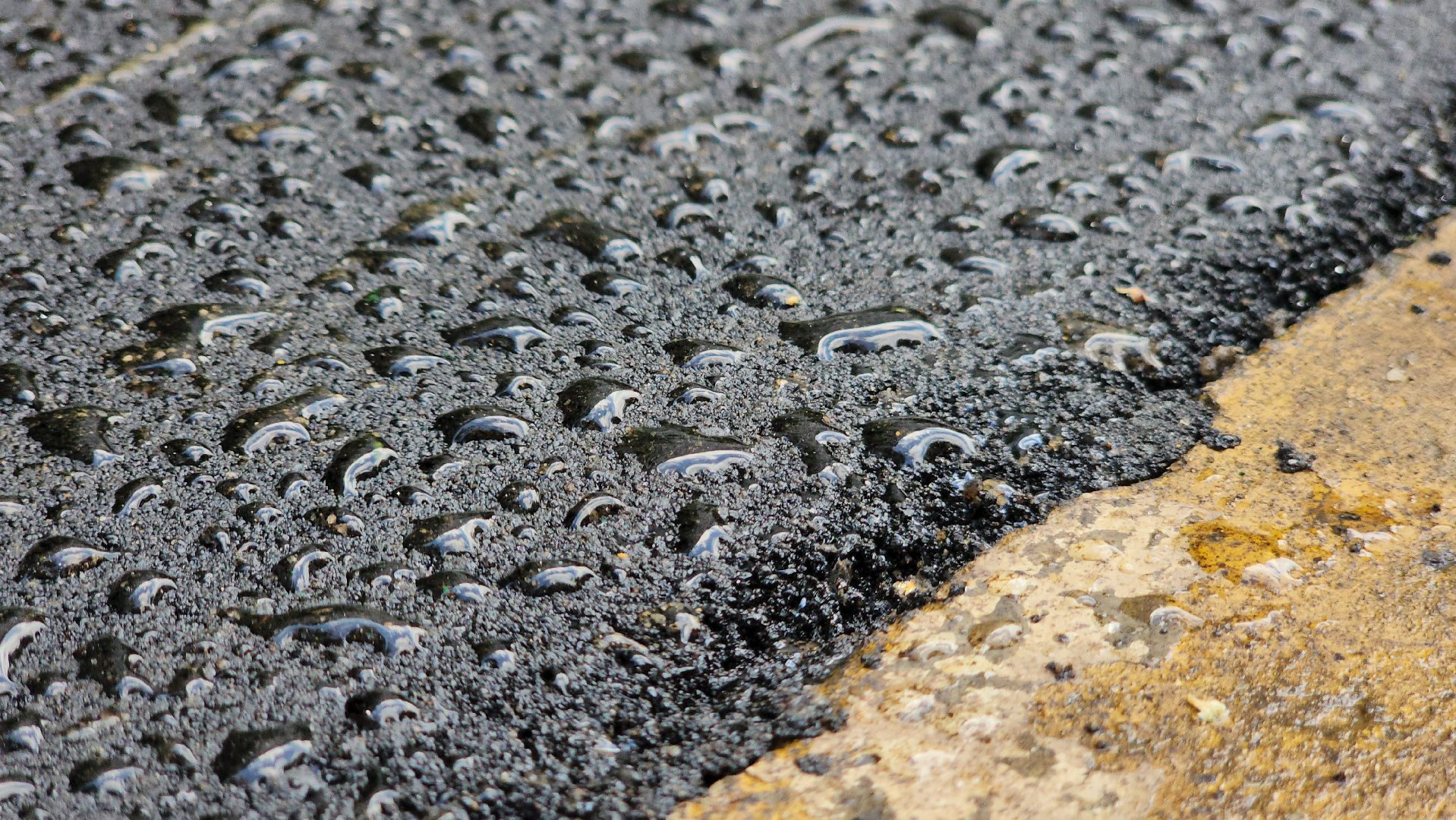 павловский посад, благоустройство, ремонт,