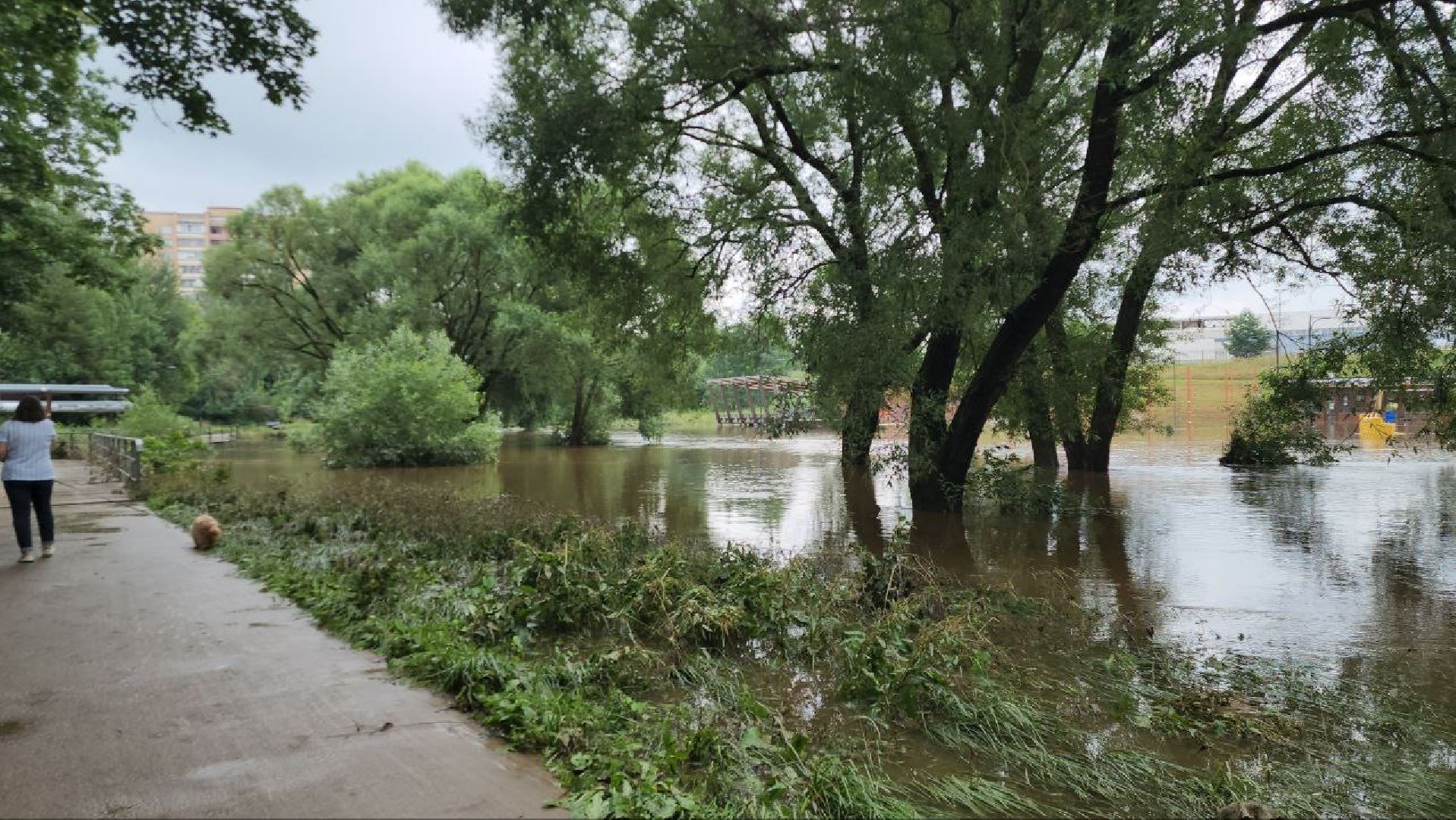 Истра, Парк, Река, Осадки ,