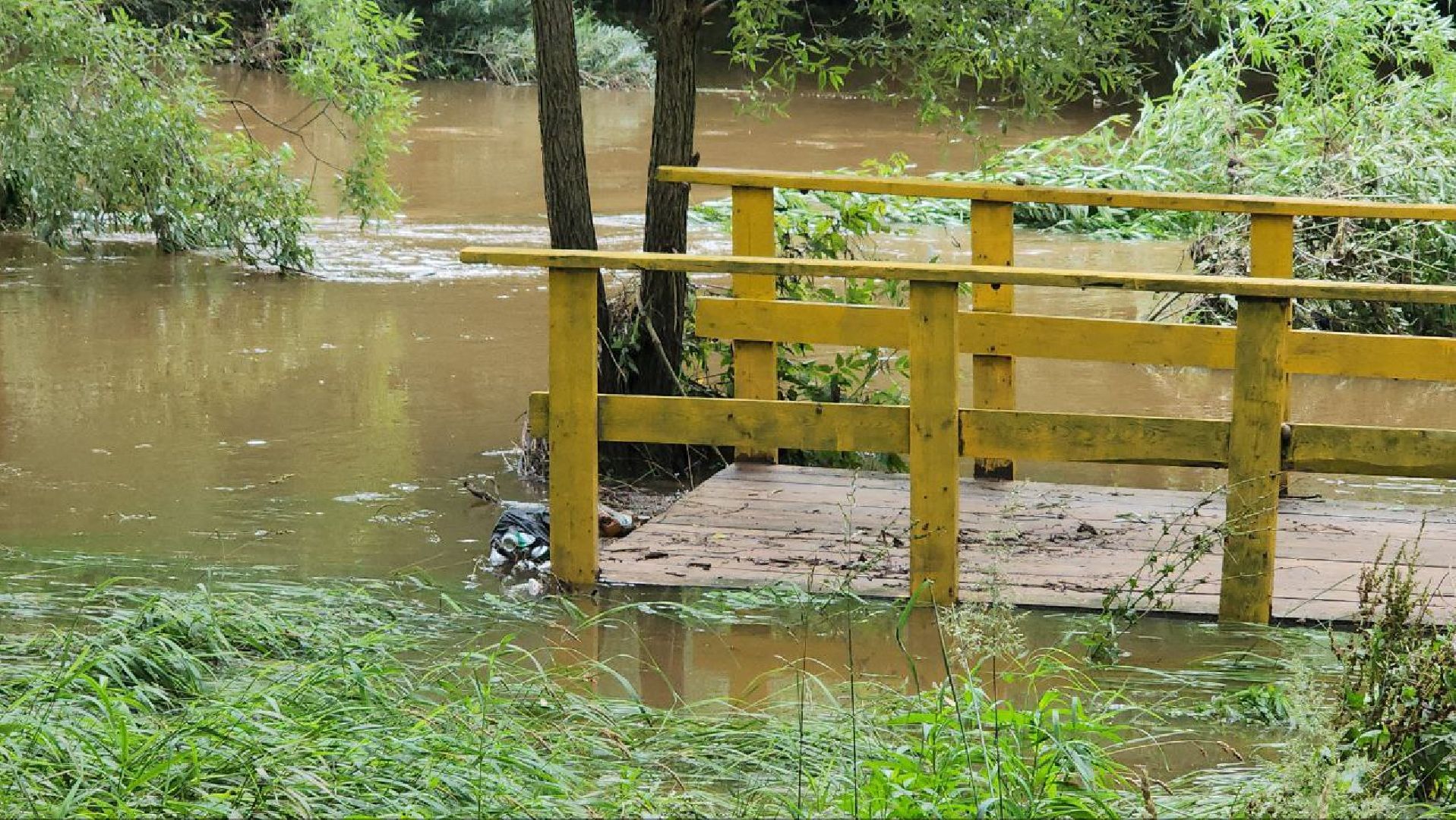 Истра, Парк, Река, Осадки ,