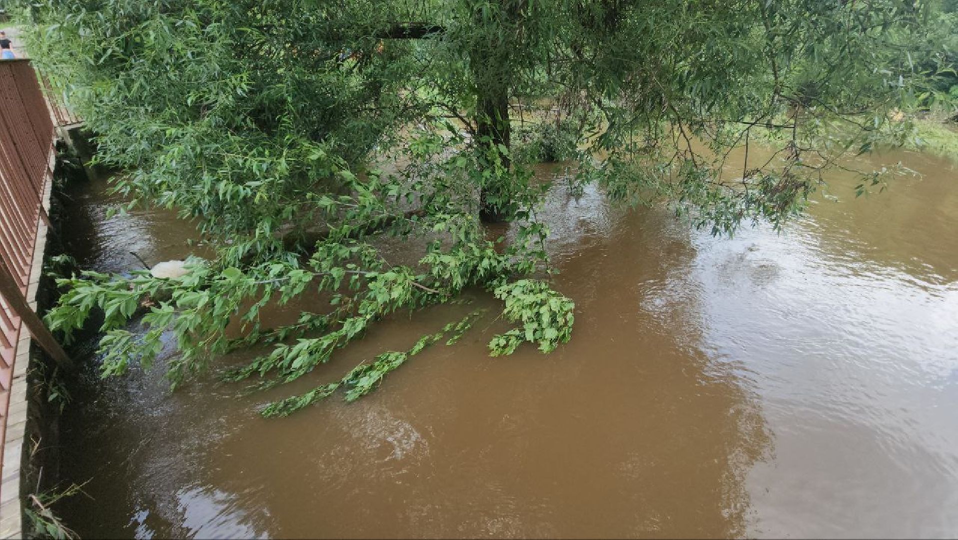 Истра, Парк, Река, Осадки ,