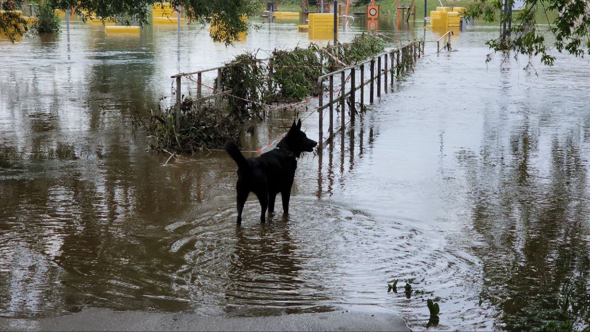 Истра, Парк, Река, Осадки ,