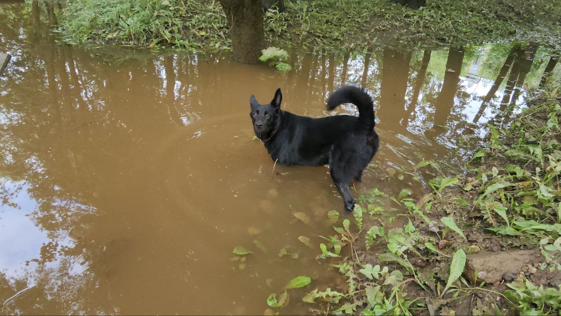 Истра, Парк, Река, Осадки ,