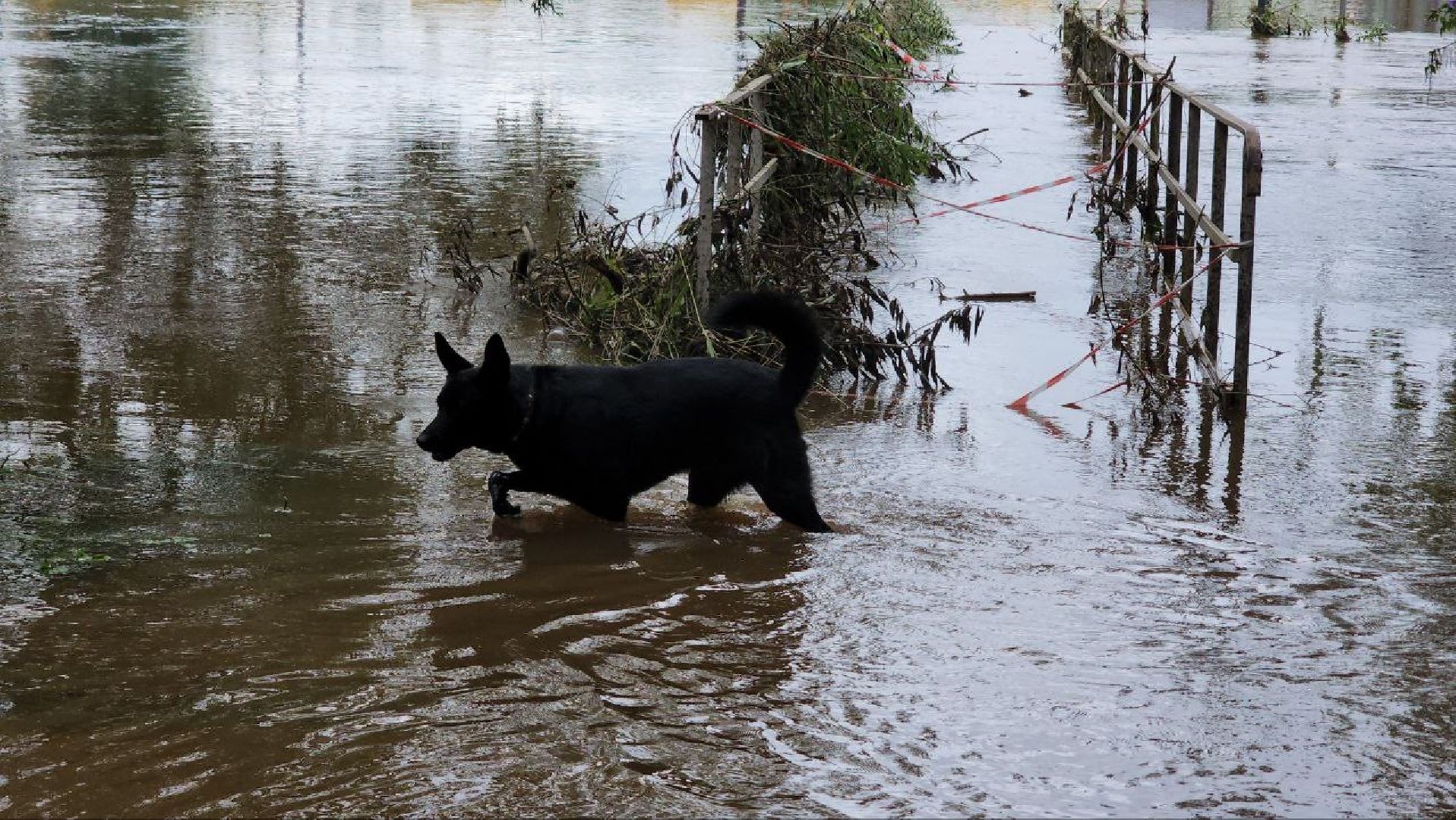 Истра, Парк, Река, Осадки ,
